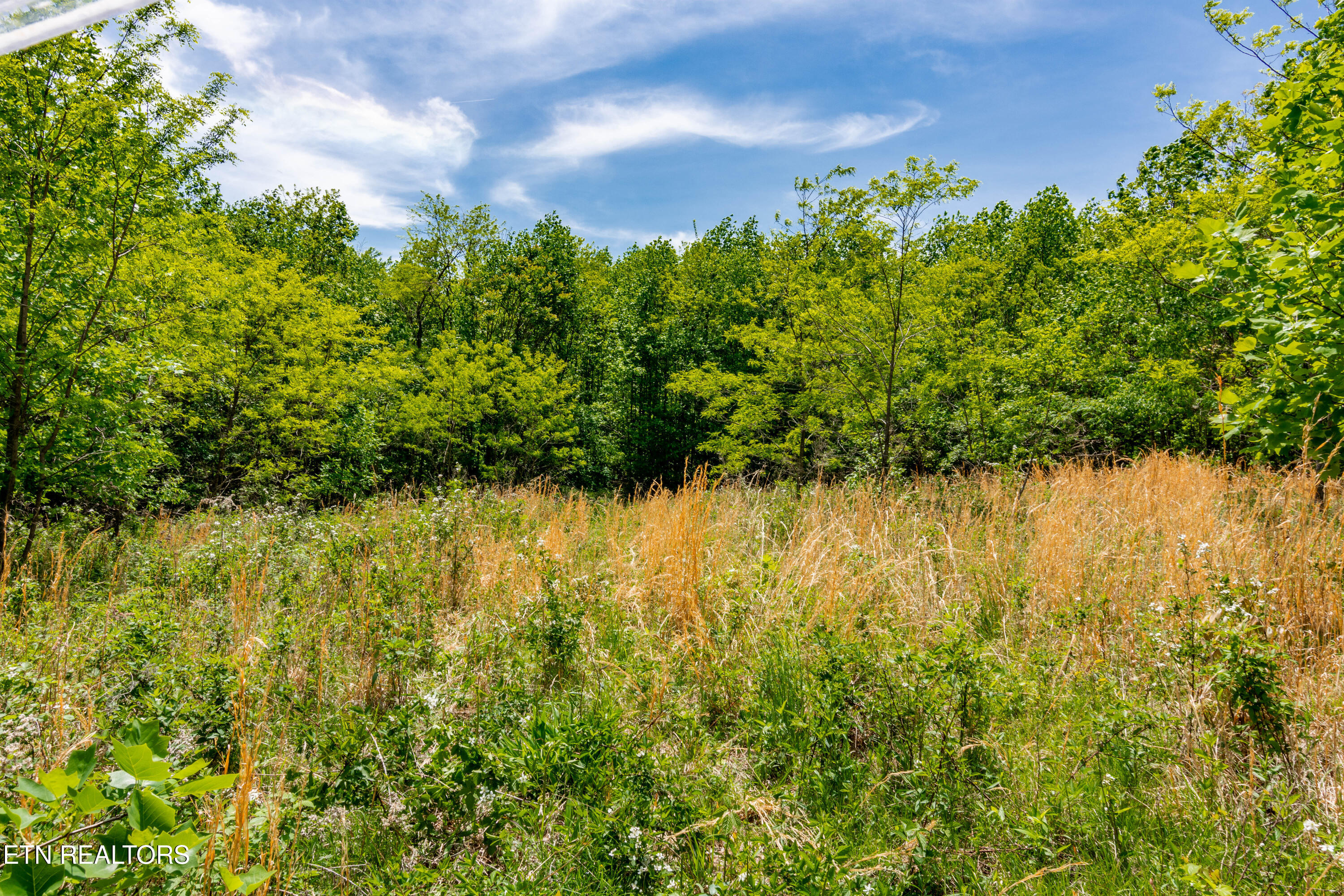 1867 Big Ridge Road Spring City TN 37381