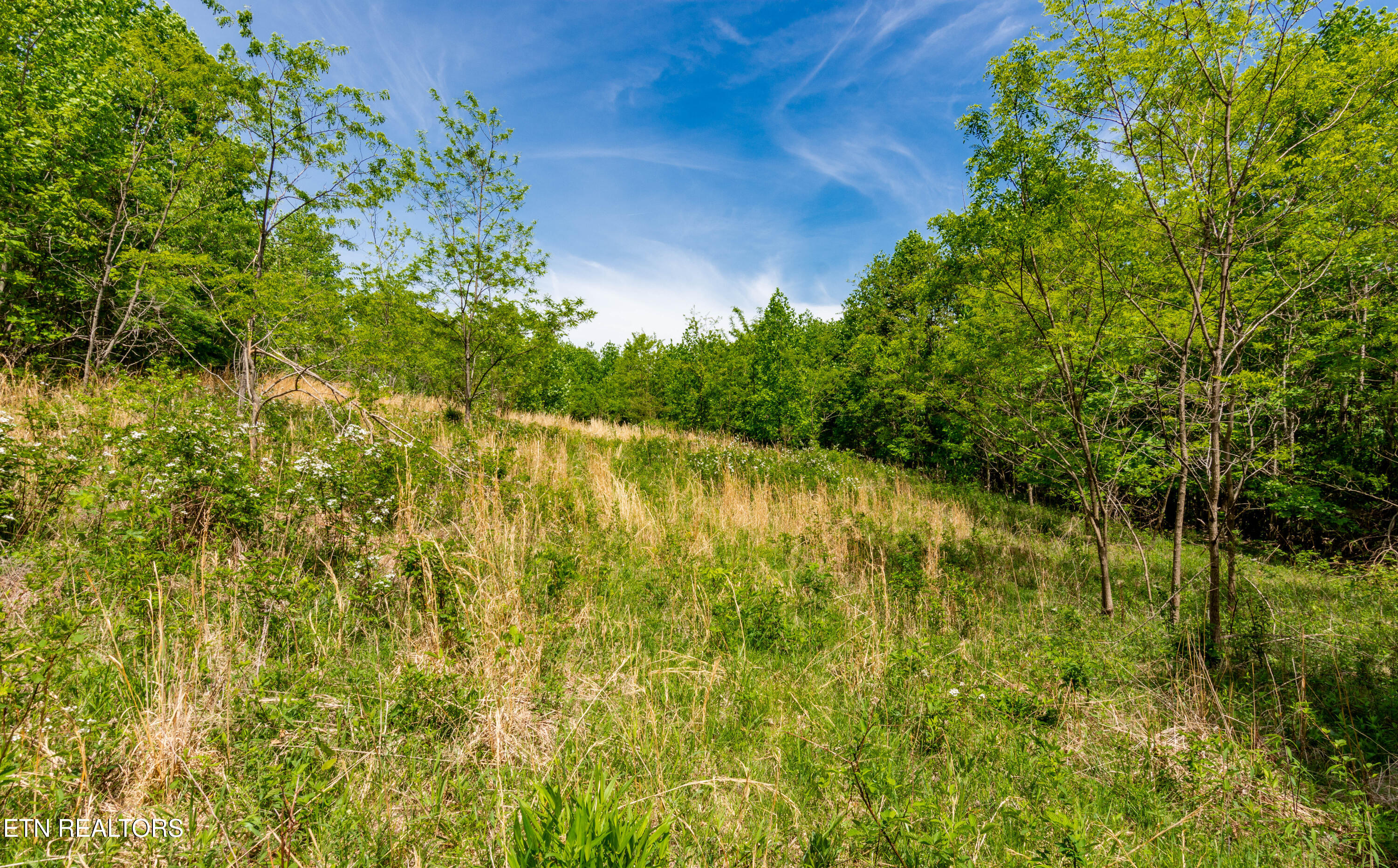 1867 Big Ridge Road Spring City TN 37381