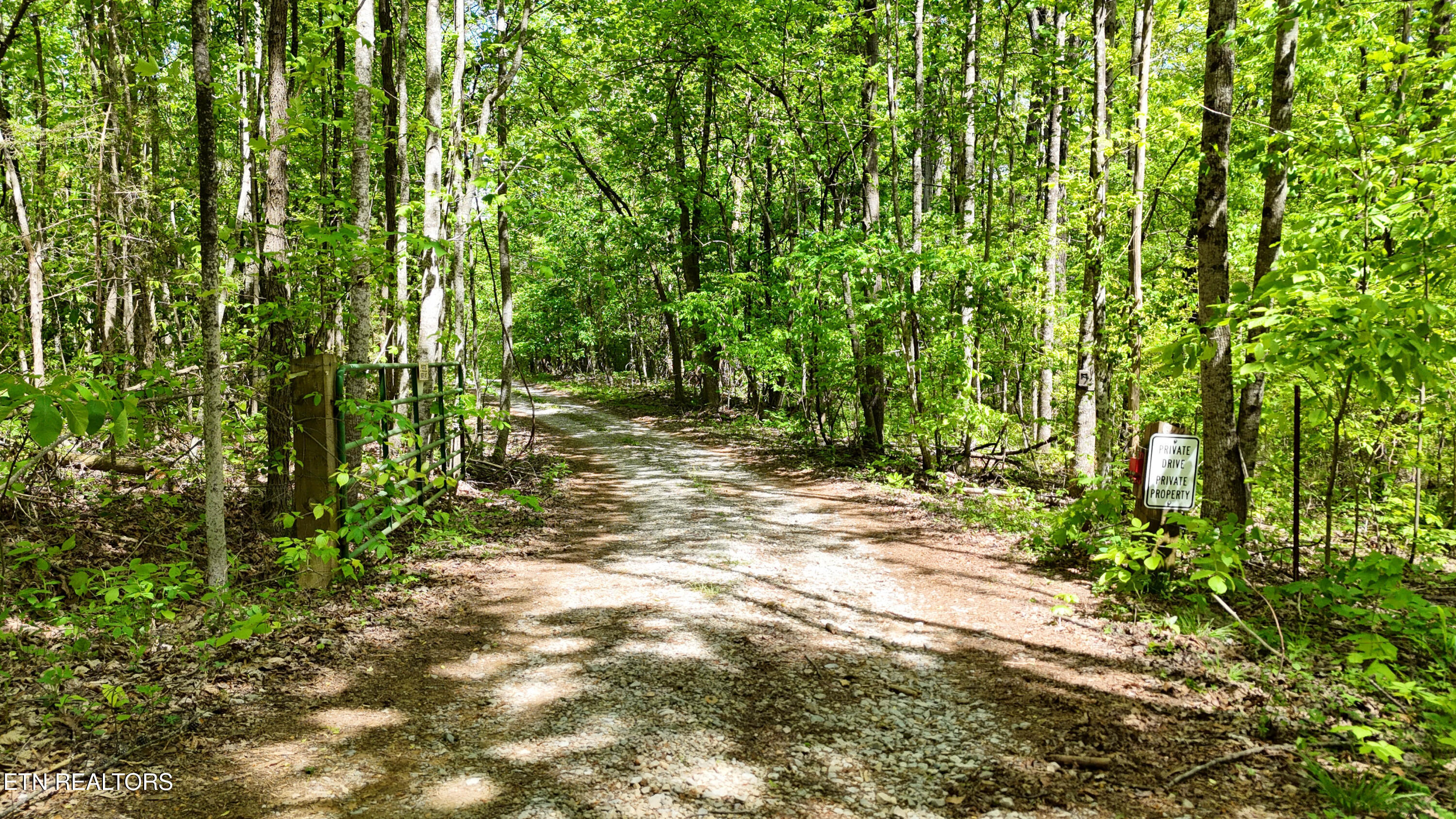 1867 Big Ridge Road Spring City TN 37381