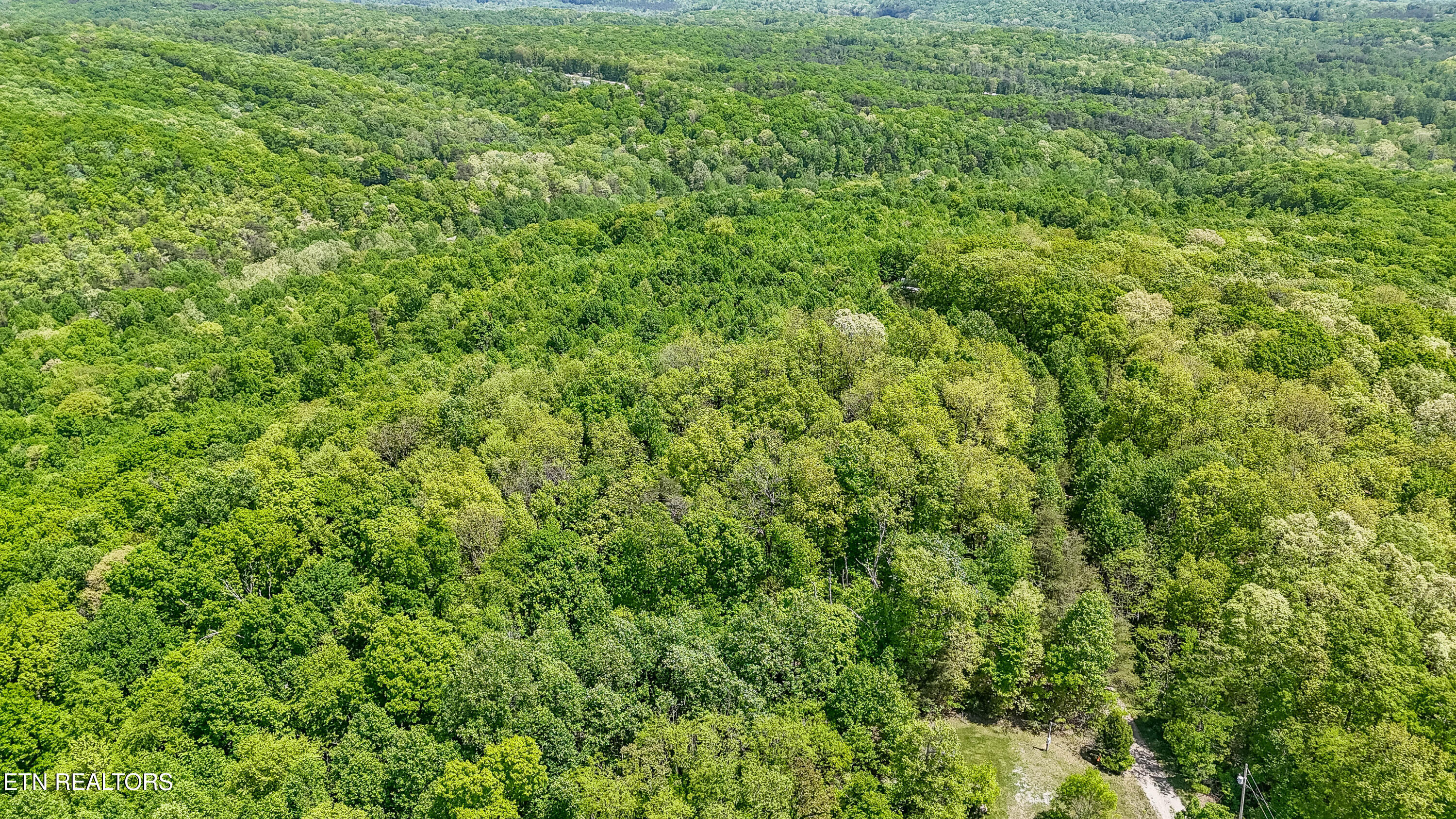 1867 Big Ridge Road Spring City TN 37381
