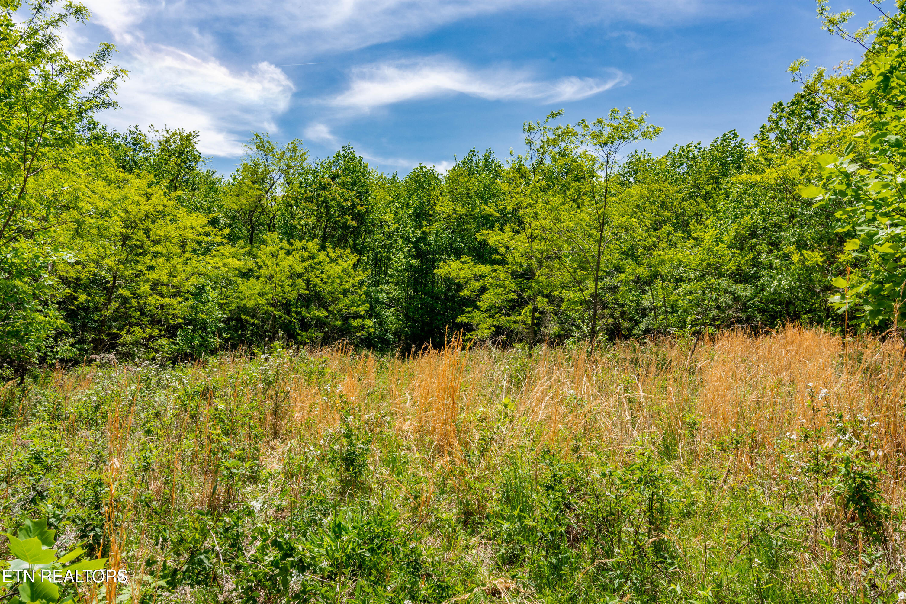 1867 Big Ridge Road Spring City TN 37381