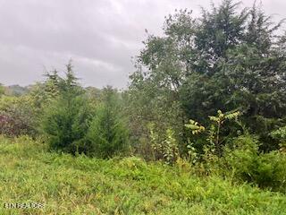 553 Garnet Trail New Tazewell TN 37825