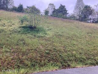 553 Garnet Trail New Tazewell TN 37825