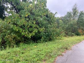 553 Garnet Trail New Tazewell TN 37825