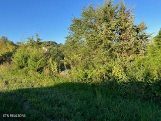 553 Garnet Trail New Tazewell TN 37825