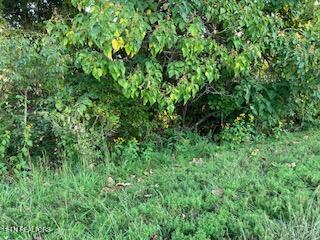 553 Garnet Trail New Tazewell TN 37825