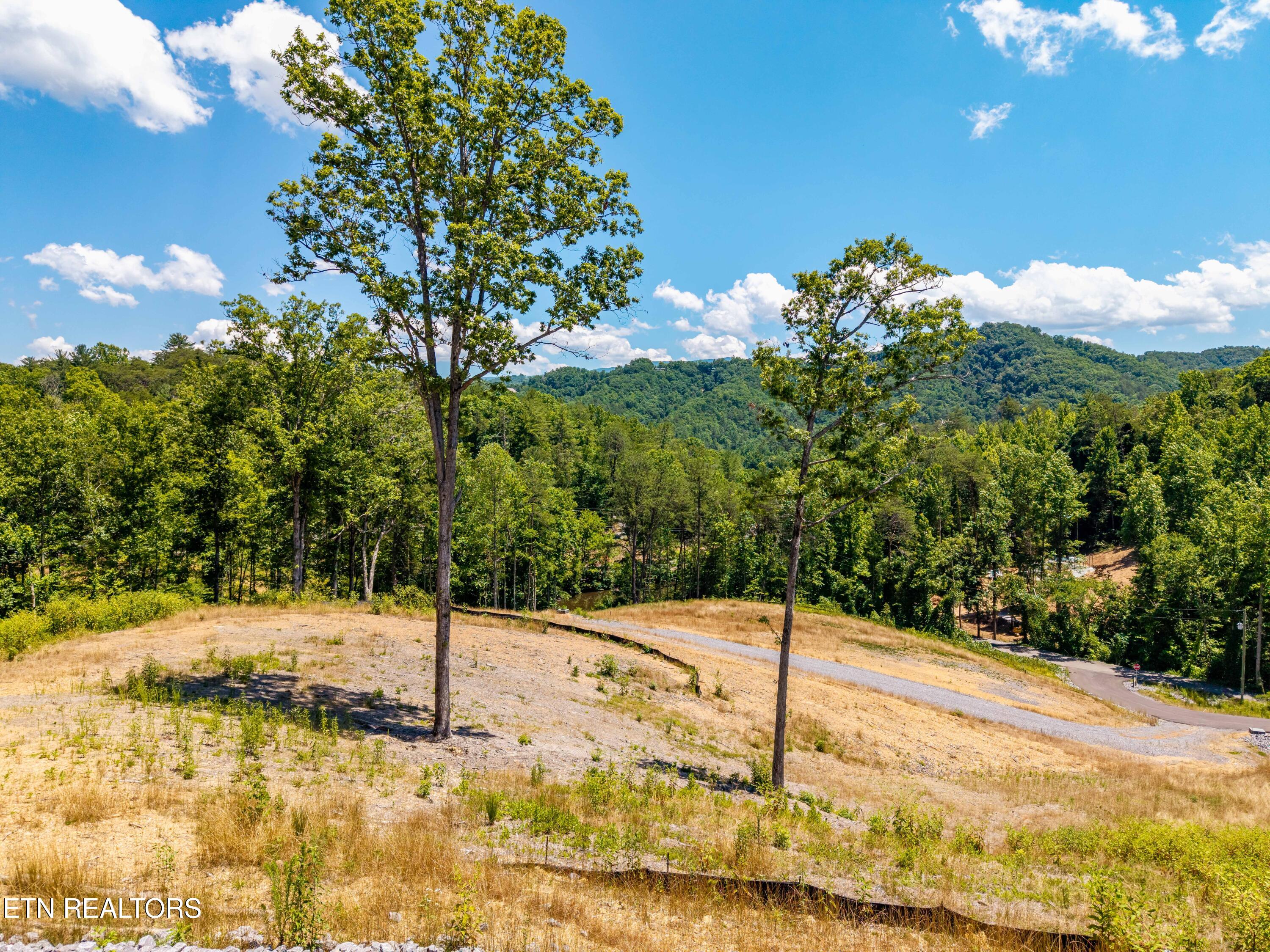 Waldens Creek Road Sevierville TN 37862
