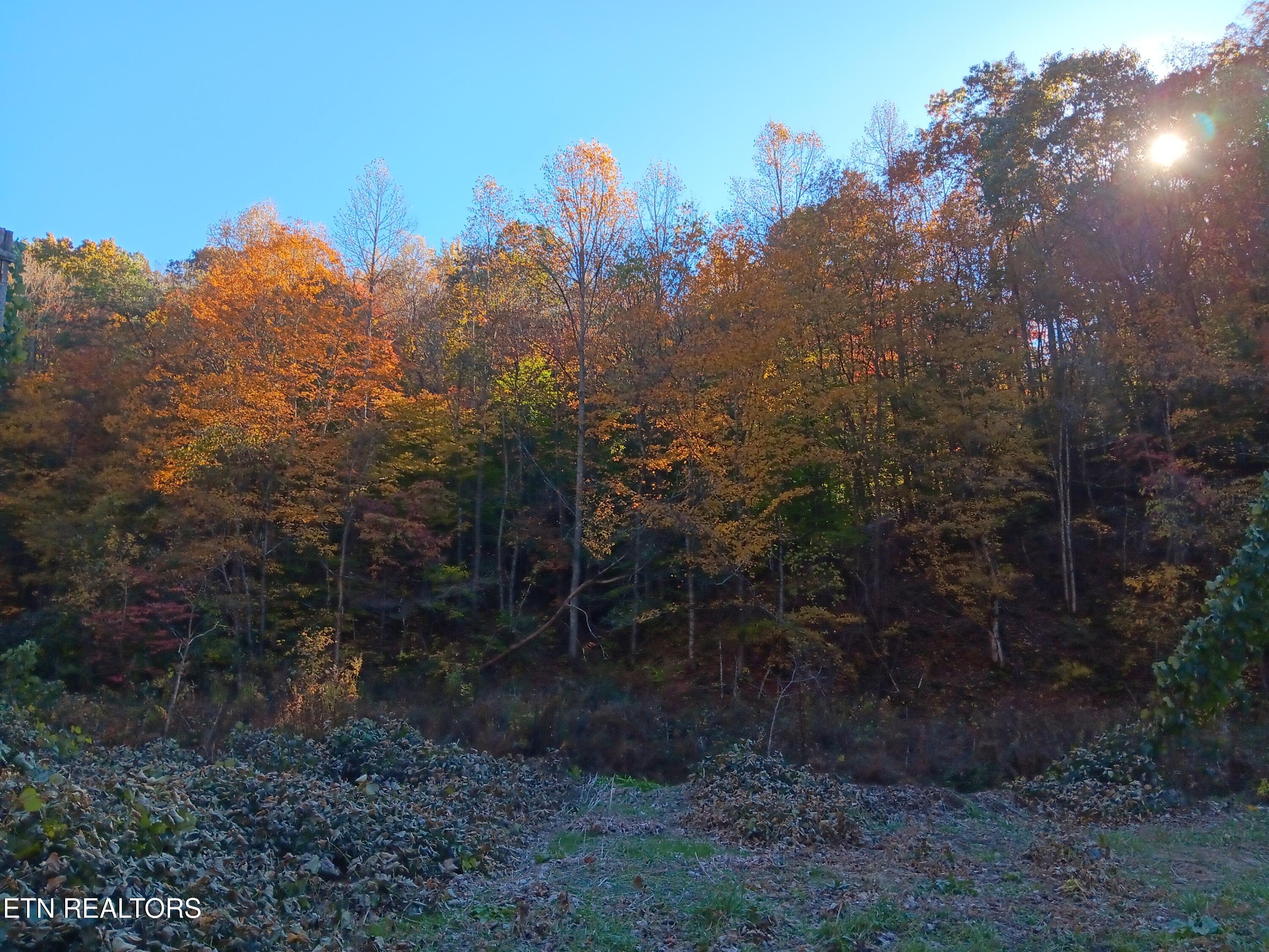 8845 Highway 66 Sneedville TN 37869