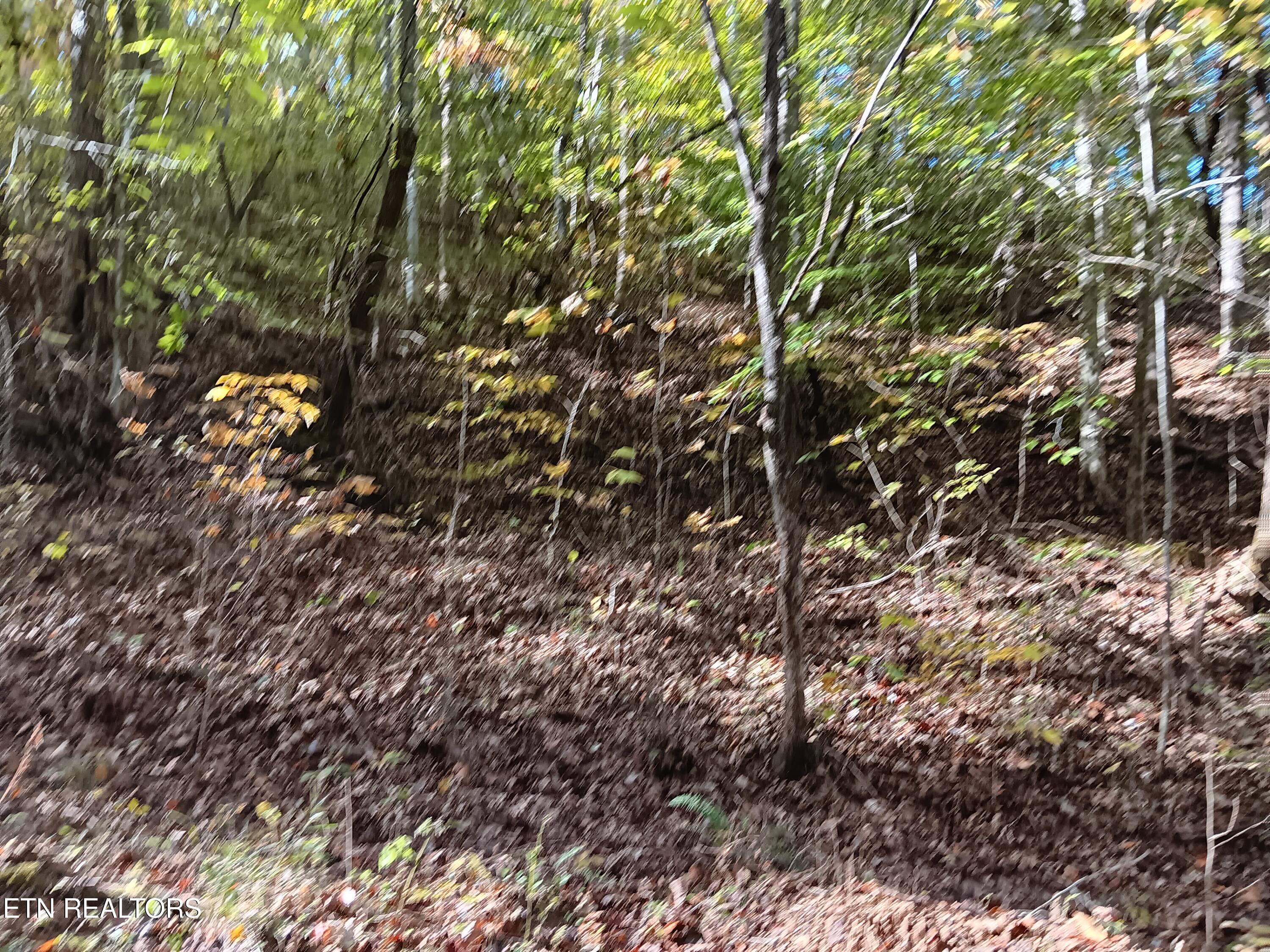 8845 Highway 66 Sneedville TN 37869