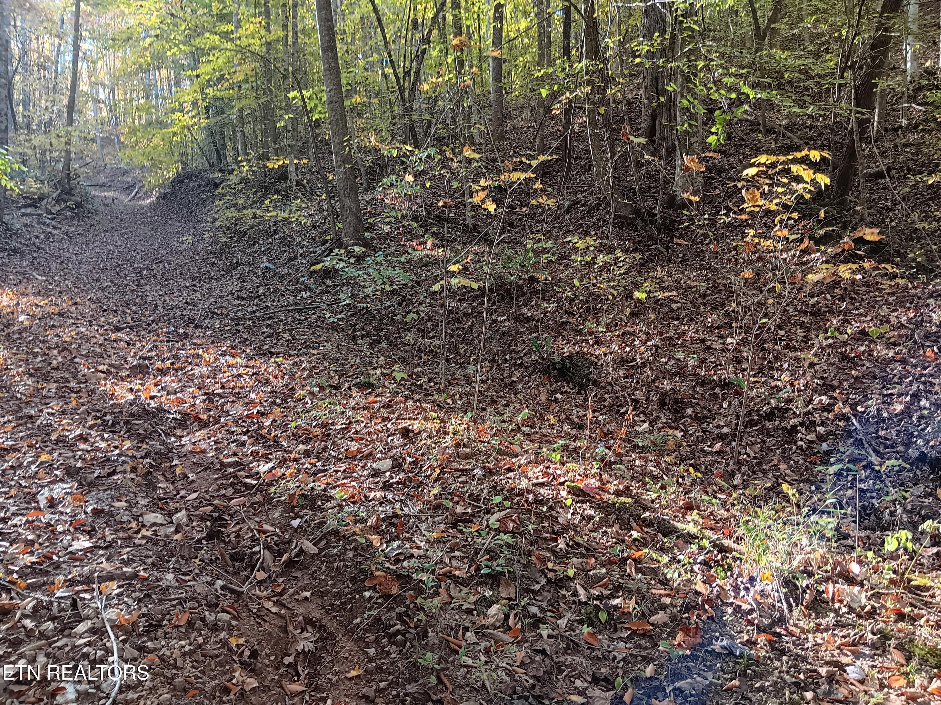 8845 Highway 66 Sneedville TN 37869