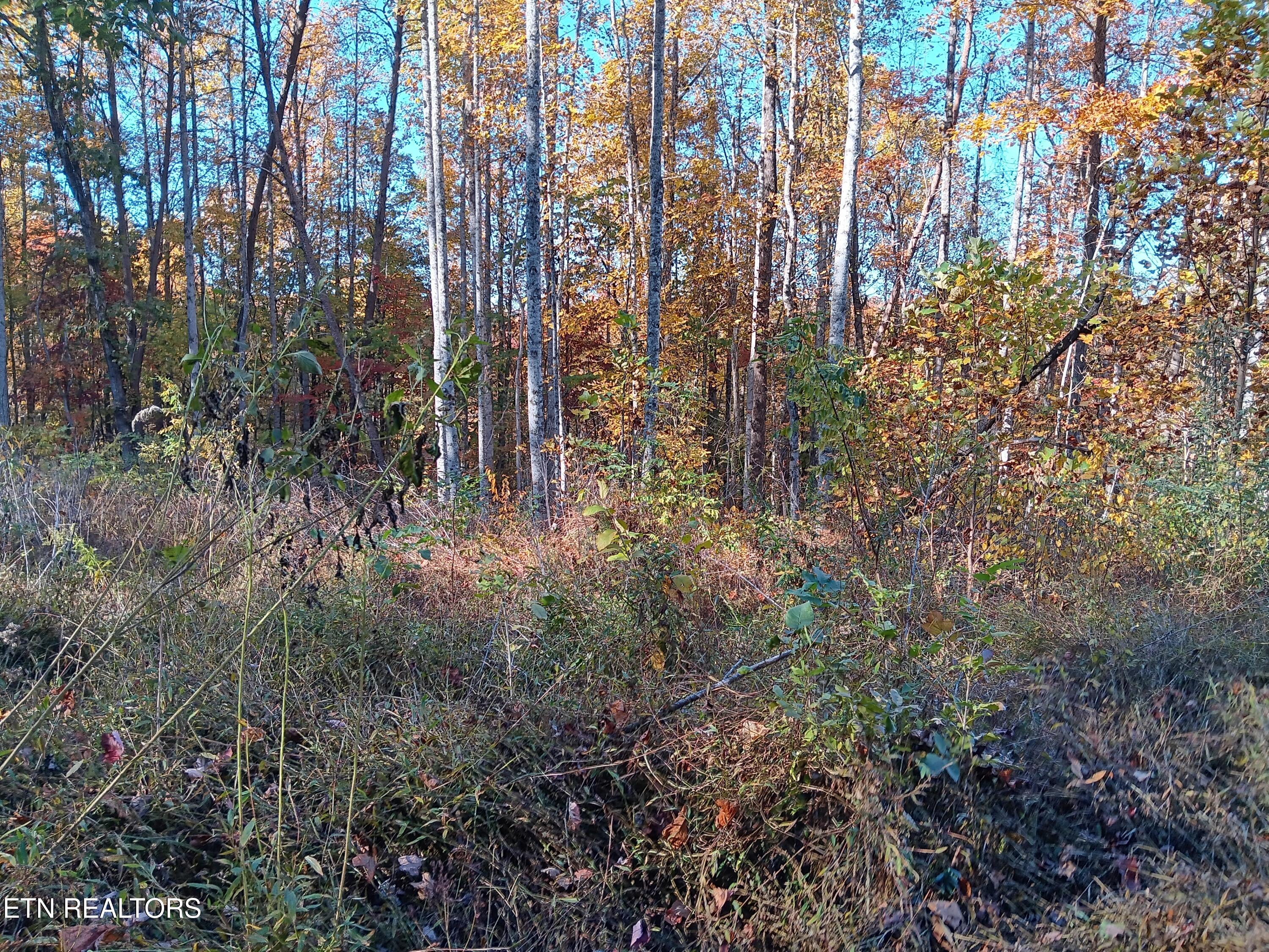 8845 Highway 66 Sneedville TN 37869