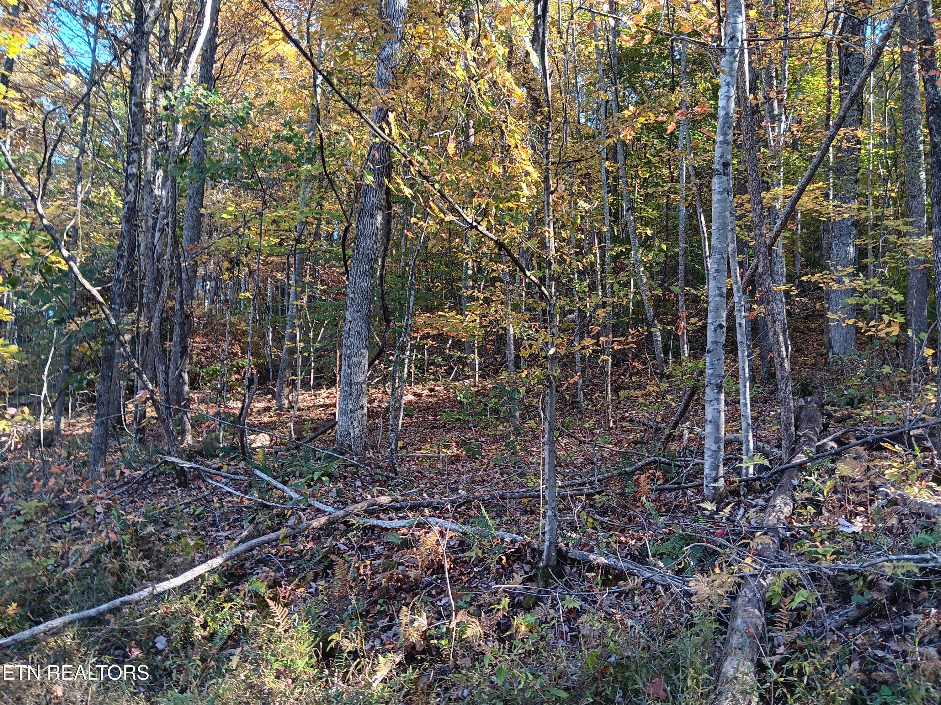 8845 Highway 66 Sneedville TN 37869