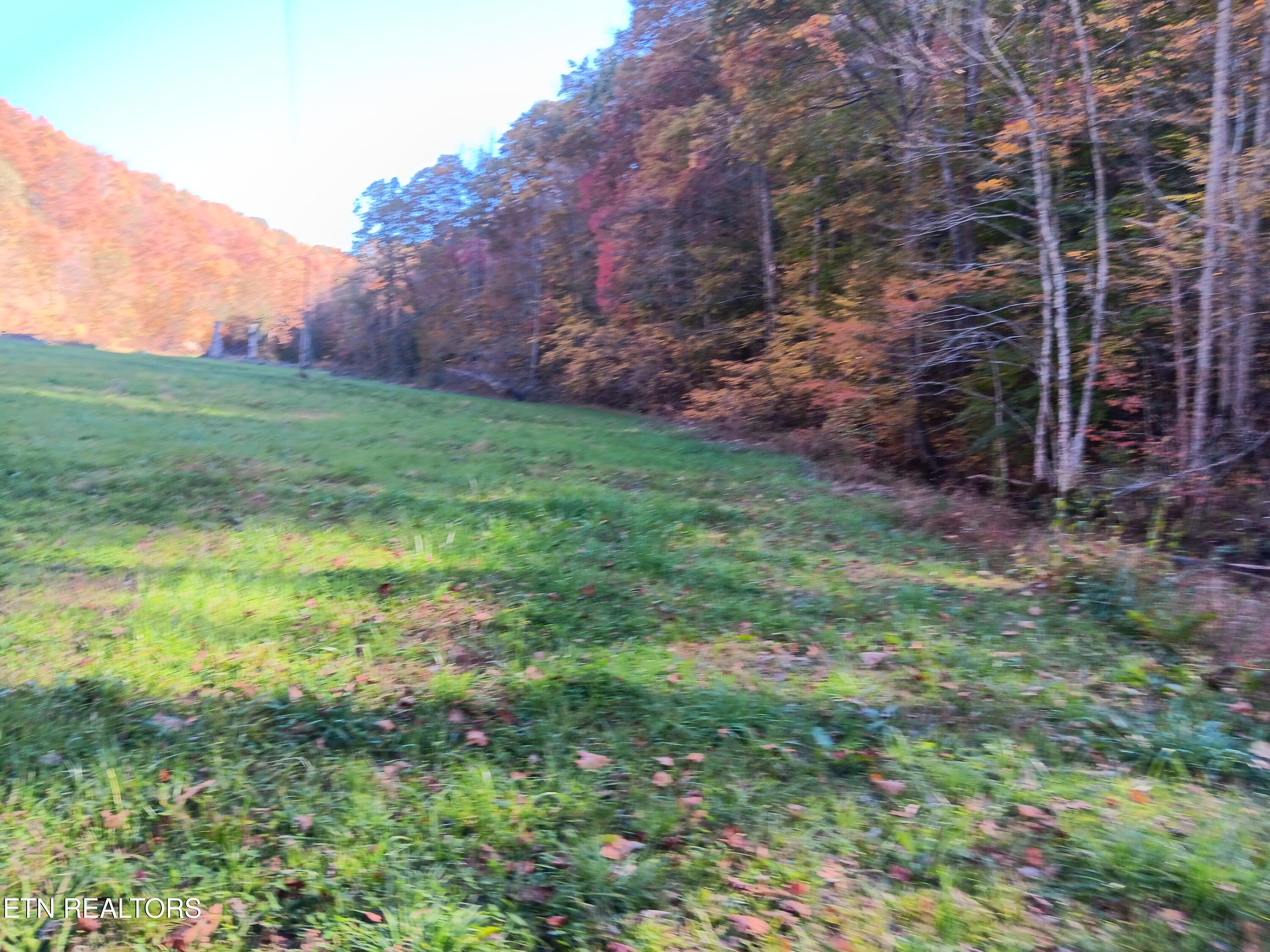 8845 Highway 66 Sneedville TN 37869