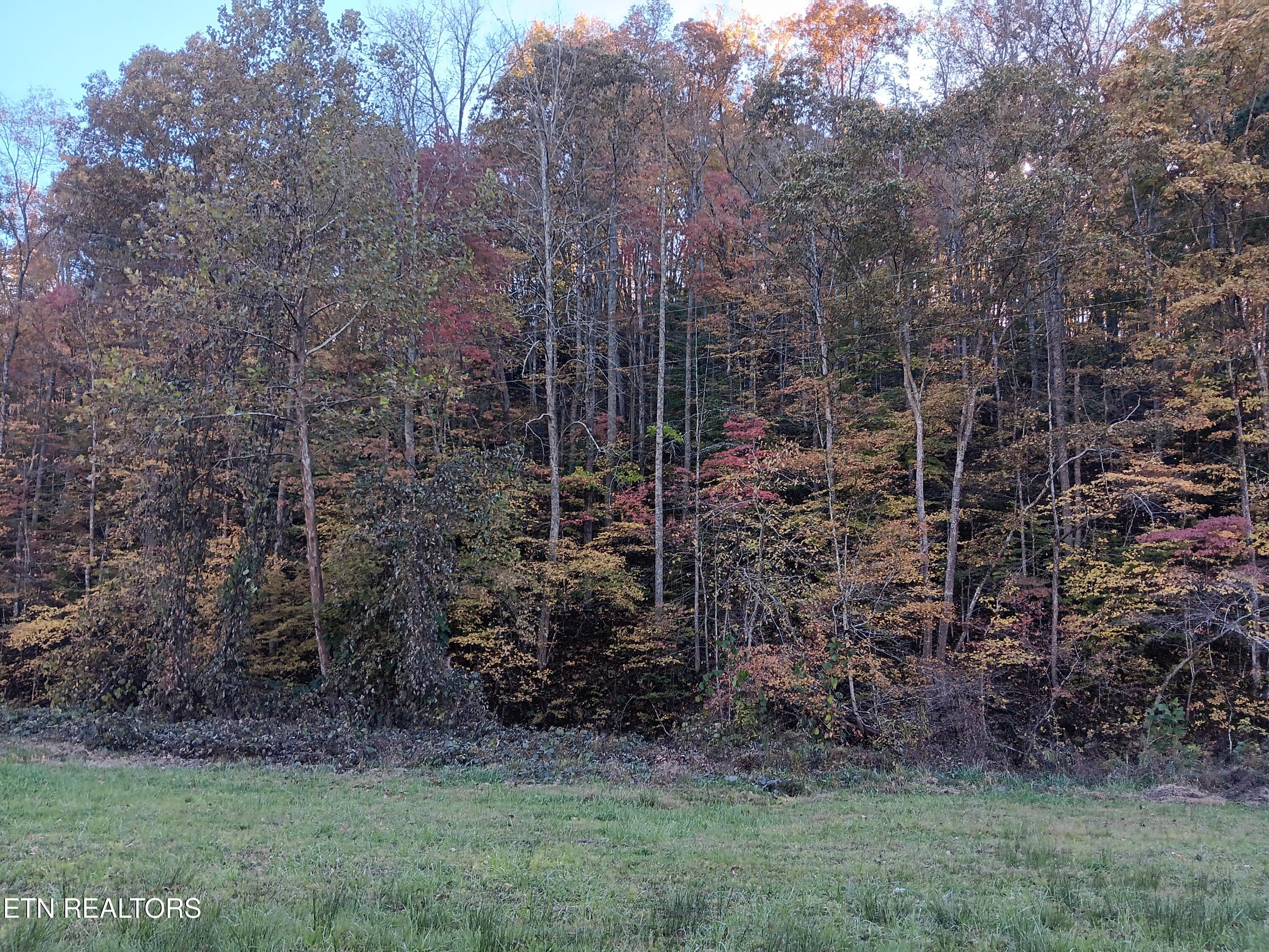 8845 Highway 66 Sneedville TN 37869