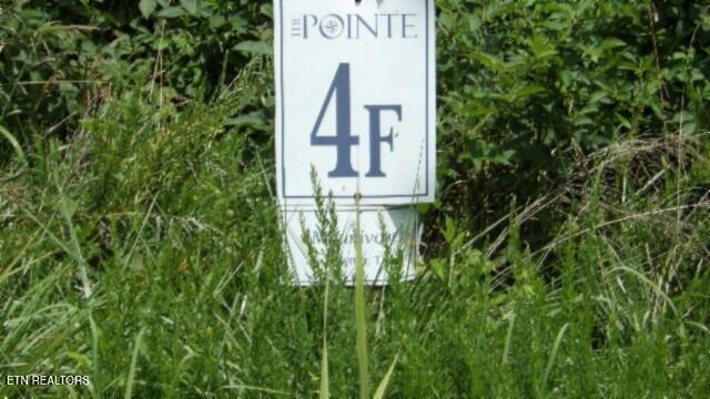 Lot 4f Trout Lane Hilham TN 38568