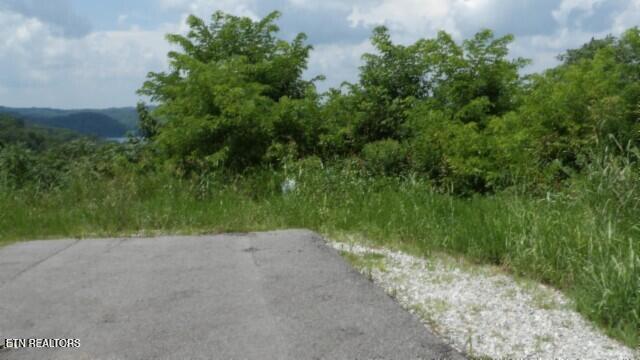 Lot 4f Trout Lane Hilham TN 38568