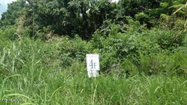 Lot 4f Trout Lane Hilham TN 38568