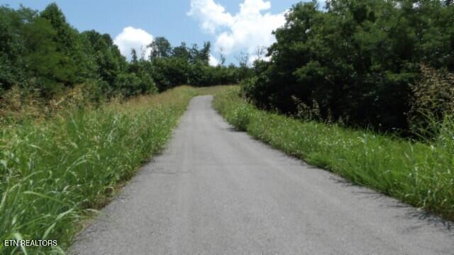 Lot 4f Trout Lane Hilham TN 38568