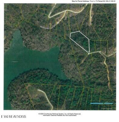 Lot 4f Trout Lane Hilham TN 38568