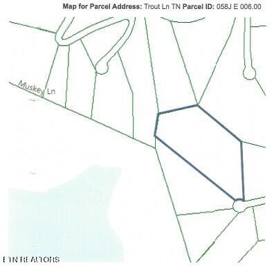 Lot 4f Trout Lane Hilham TN 38568