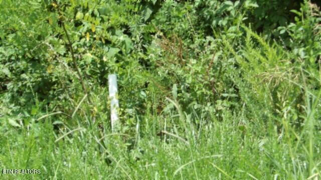 Lot 4f Trout Lane Hilham TN 38568