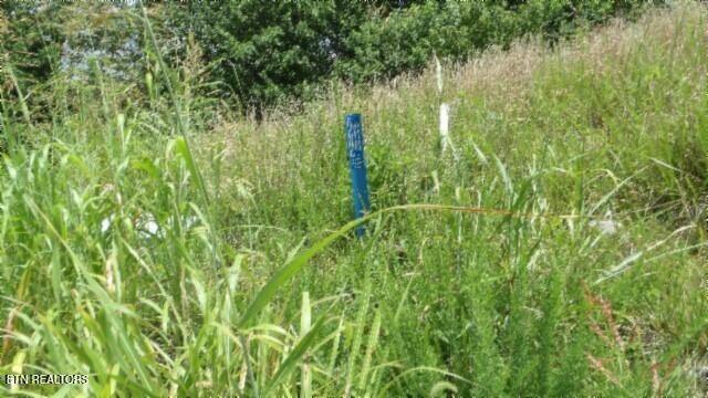 Lot 4f Trout Lane Hilham TN 38568