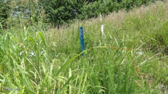 Lot 4f Trout Lane Hilham TN 38568