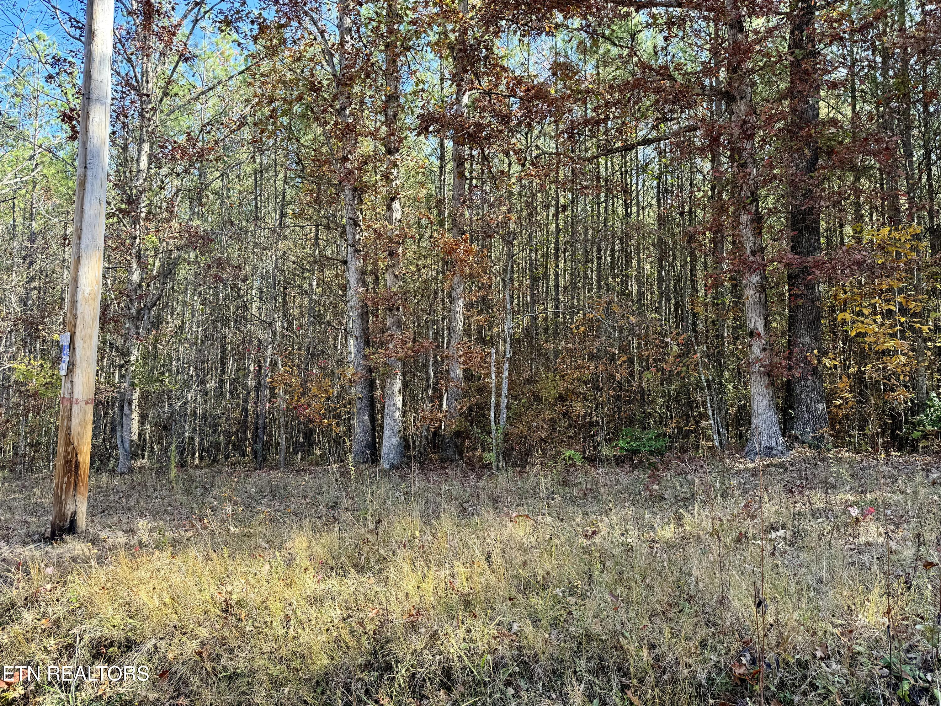 Lower Rockwood Road Lot 20 Rockwood TN 37854