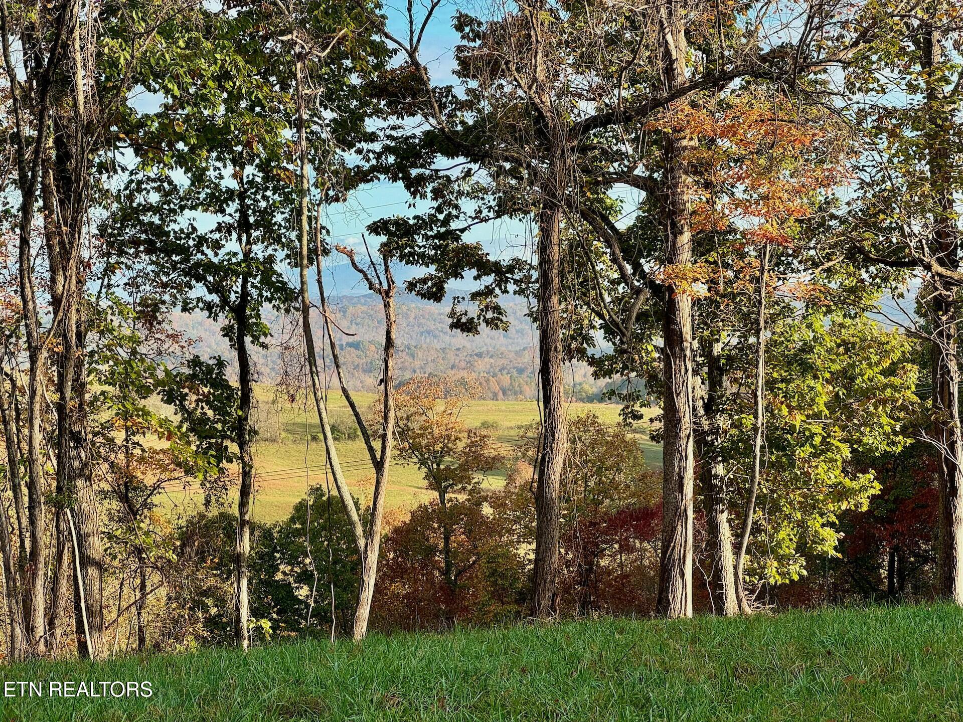 Somerset Estates | Homesite 2 Lenoir City TN 37771