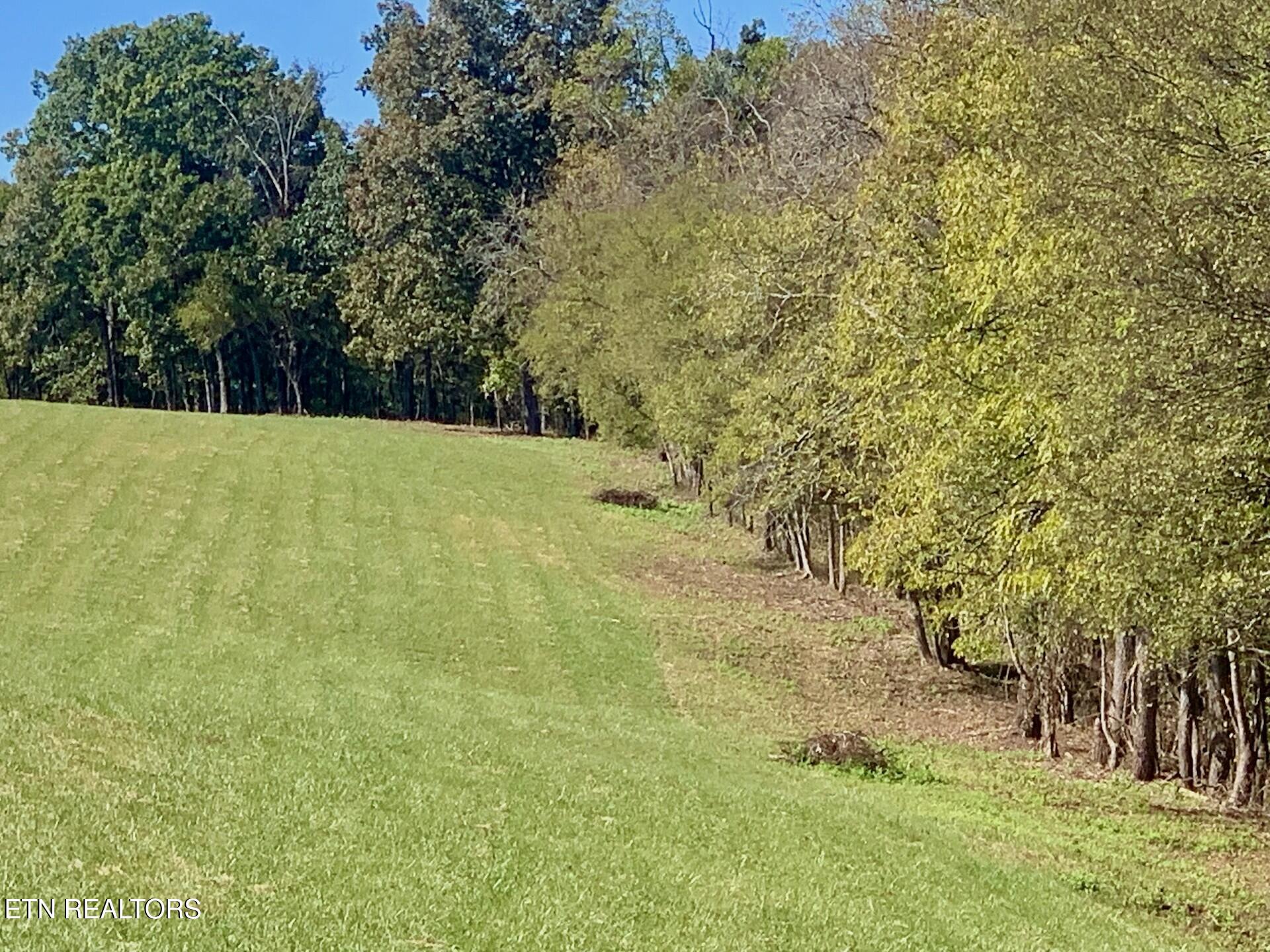 Somerset Estates | Homesite 2 Lenoir City TN 37771