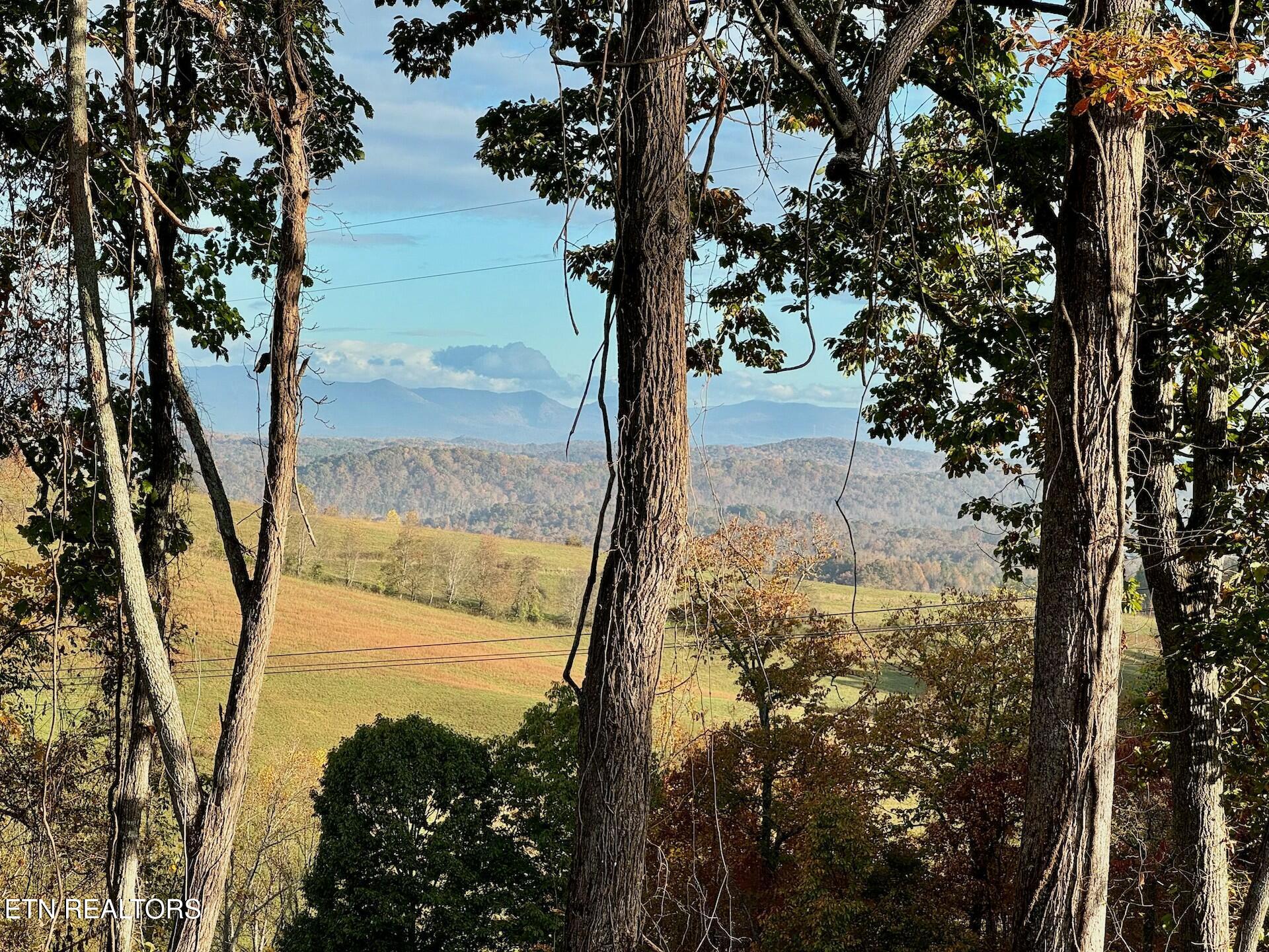 Somerset Estates | Homesite 2 Lenoir City TN 37771