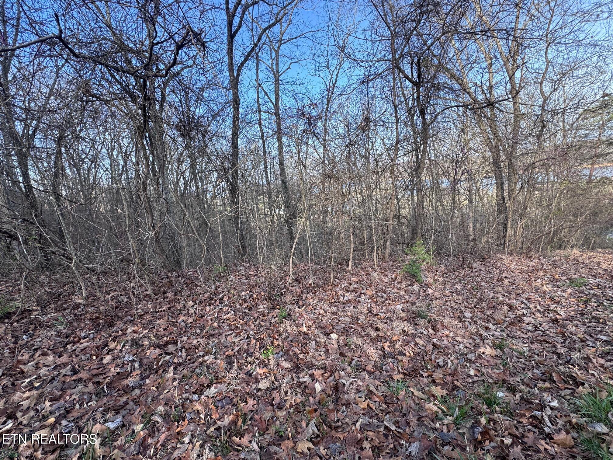 344 Larayne Hollow Road Sharps Chapel TN 37866