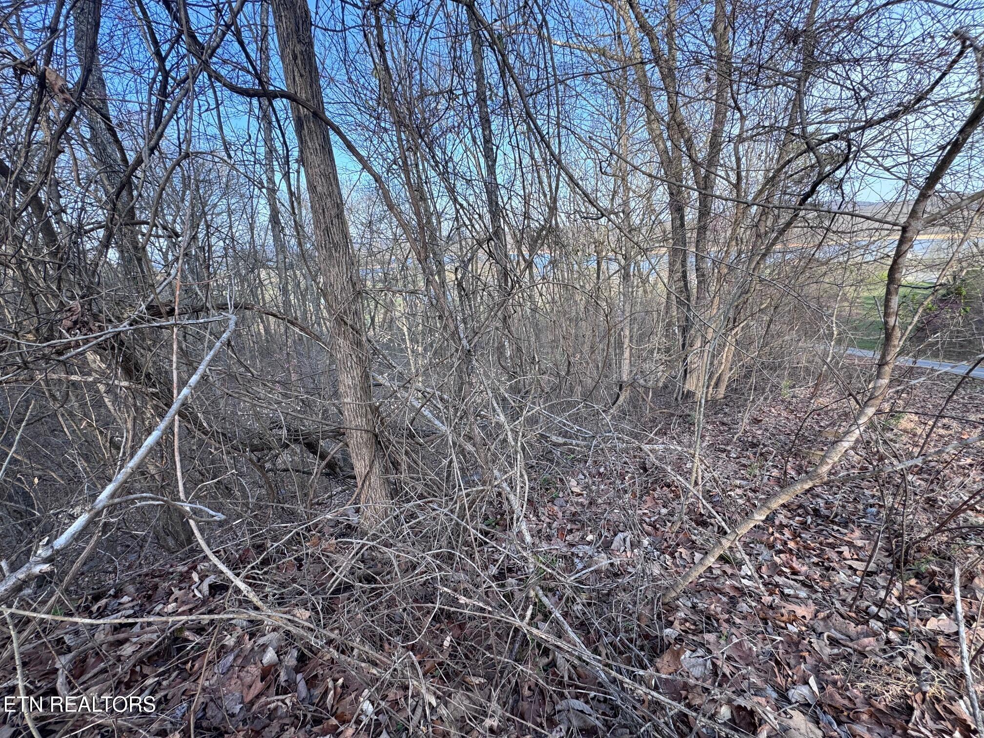344 Larayne Hollow Road Sharps Chapel TN 37866