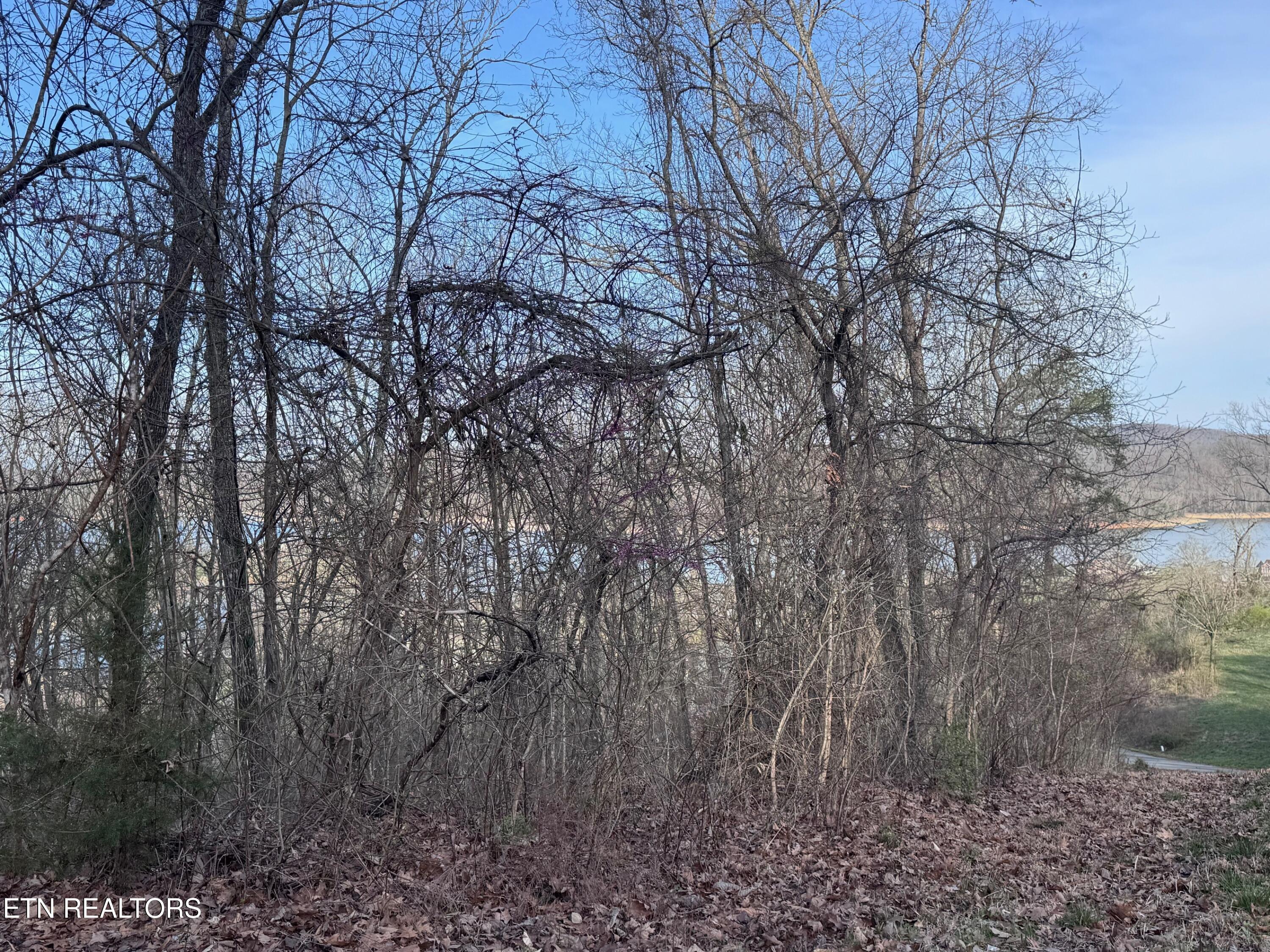 344 Larayne Hollow Road Sharps Chapel TN 37866