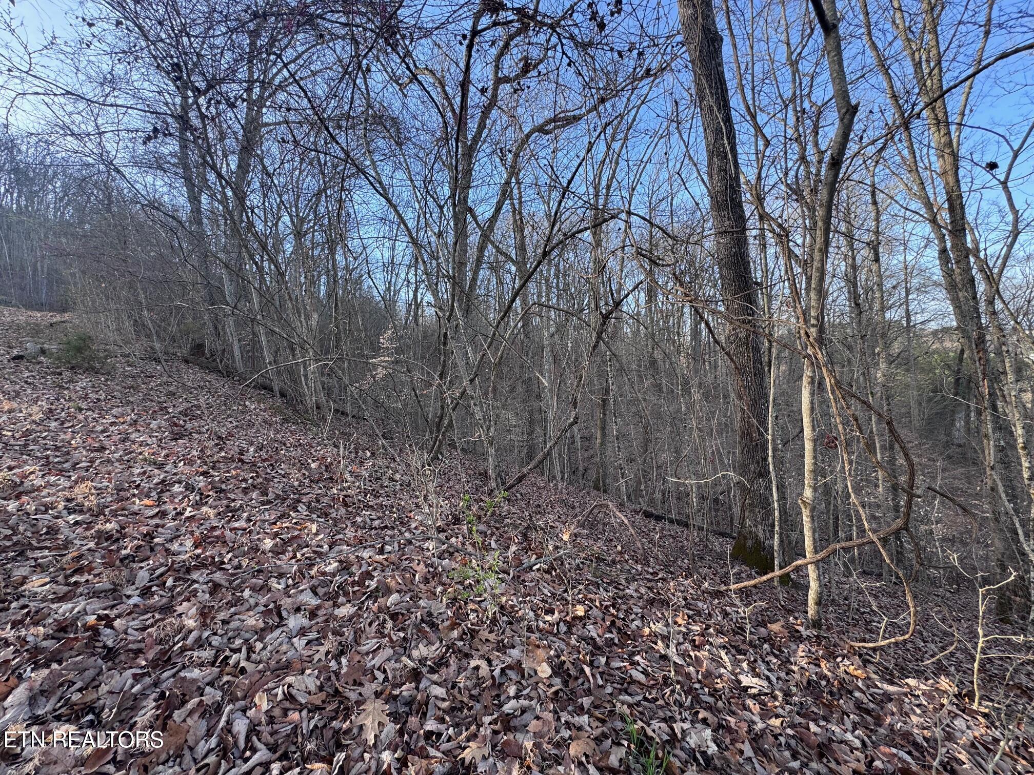 344 Larayne Hollow Road Sharps Chapel TN 37866