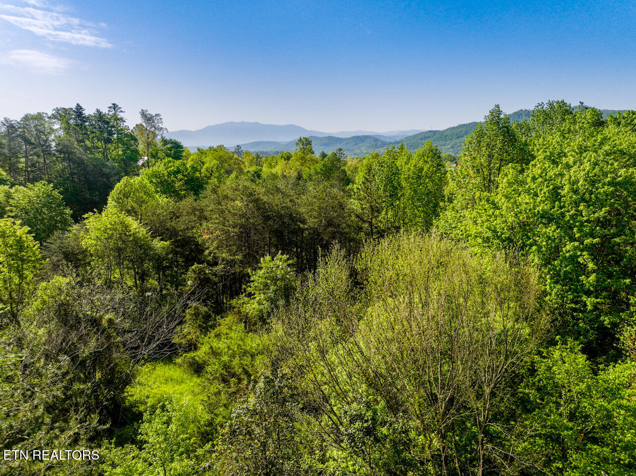1140 Crestview Drive Pigeon Forge TN 37863
