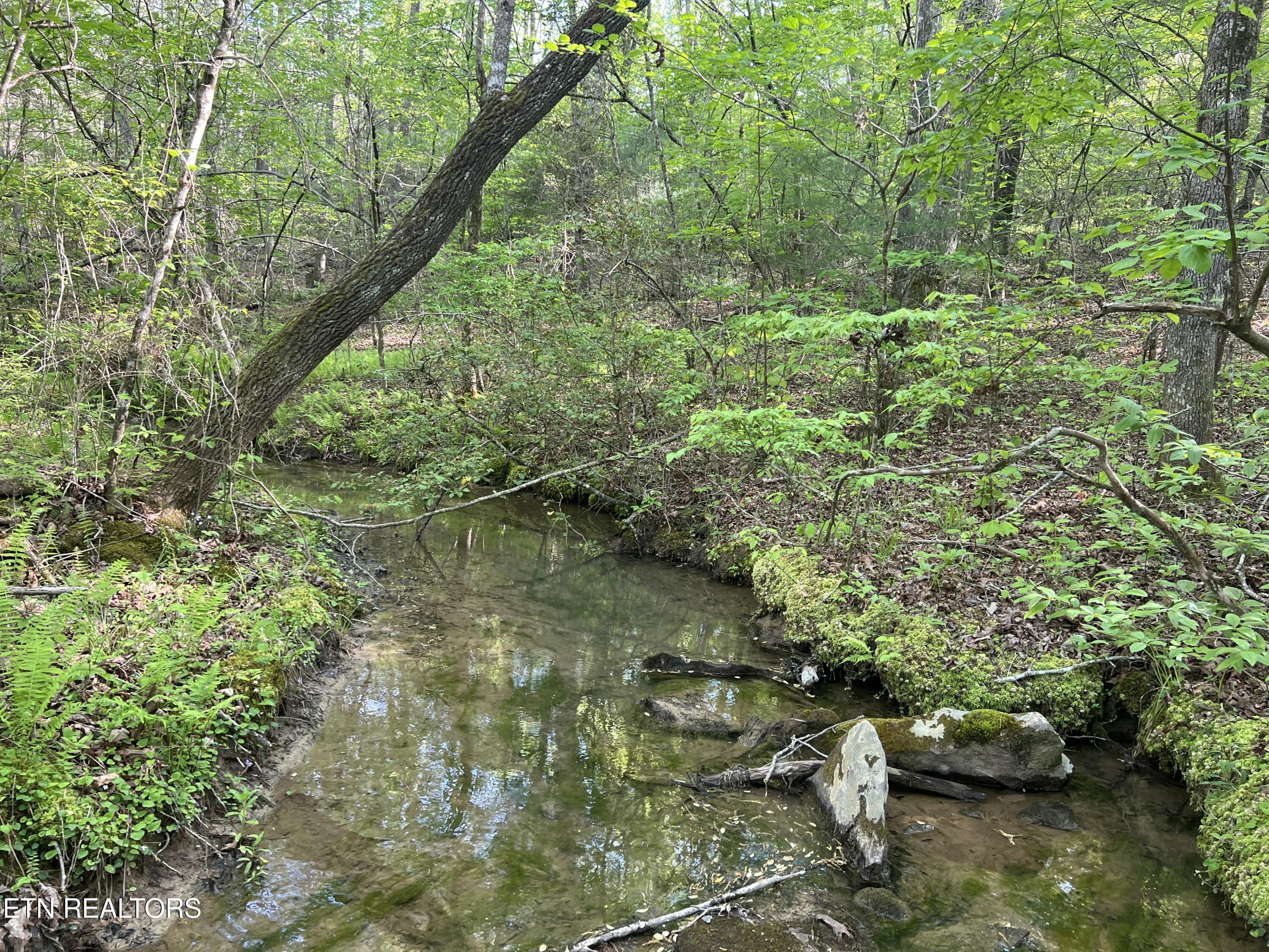 658AC Peavine Firetower Road Crossville TN 38571