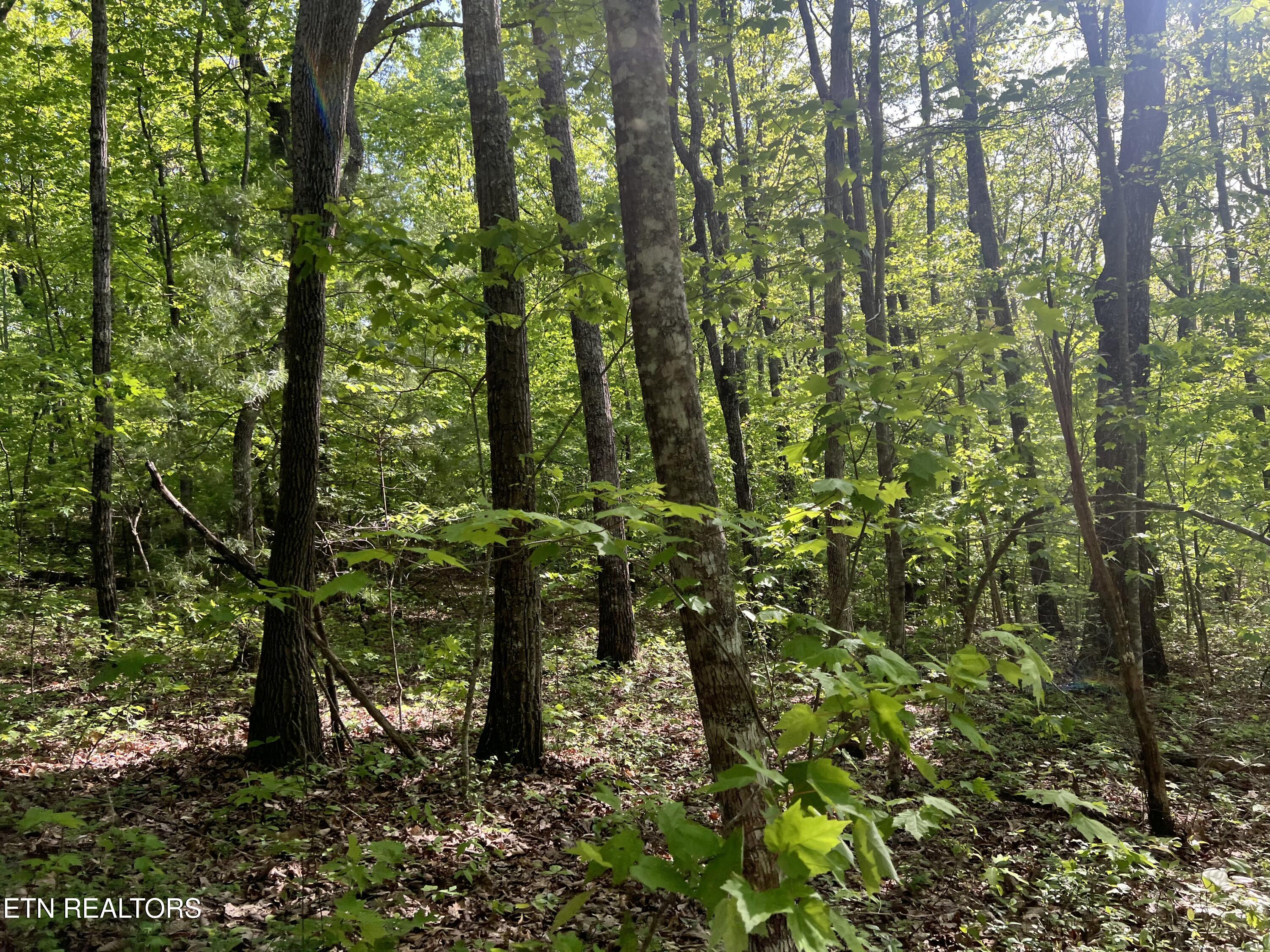 658AC Peavine Firetower Road Crossville TN 38571