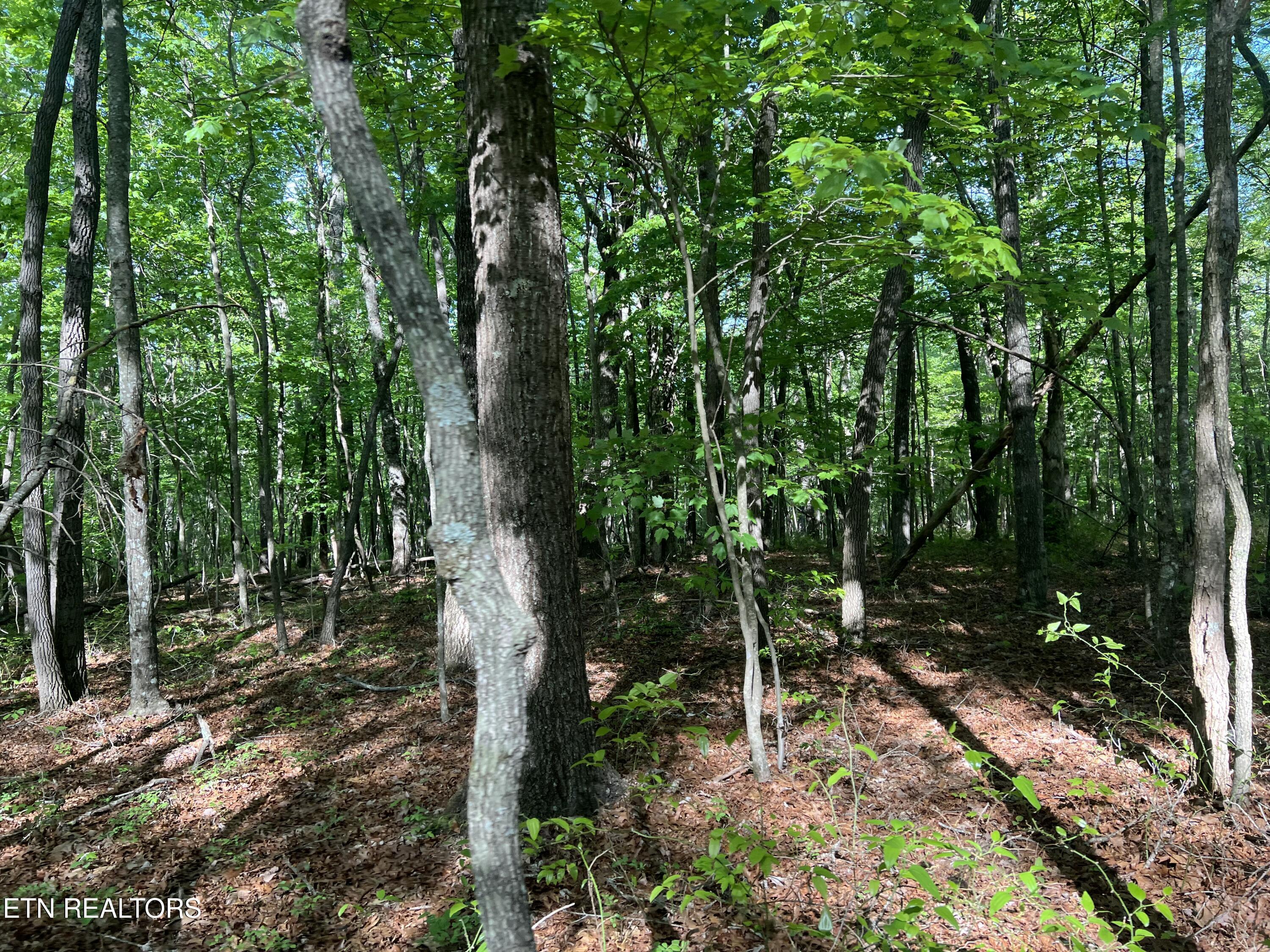 658AC Peavine Firetower Road Crossville TN 38571