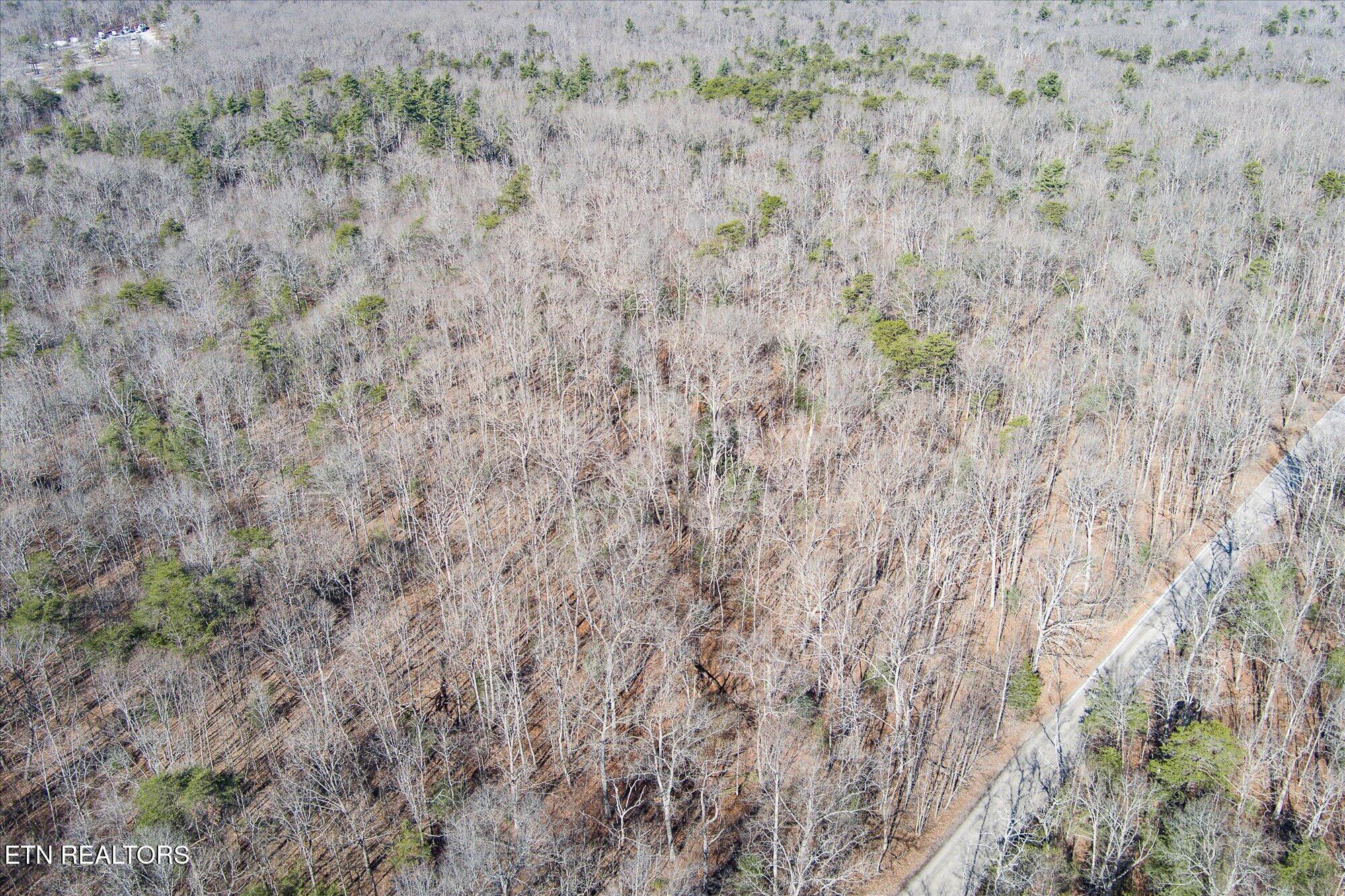 658AC Peavine Firetower Road Crossville TN 38571