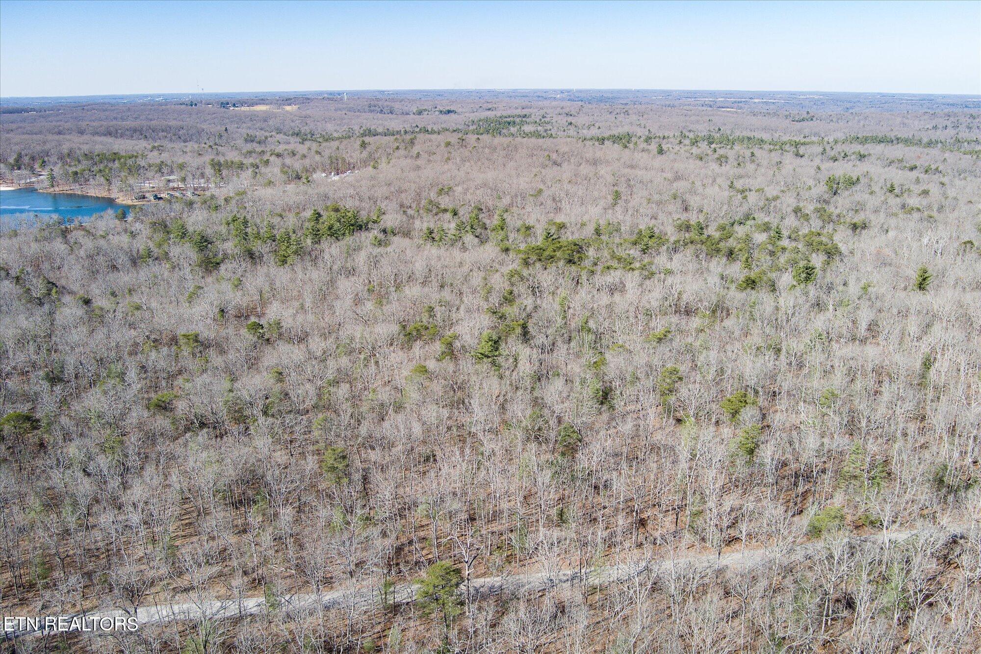 658AC Peavine Firetower Road Crossville TN 38571