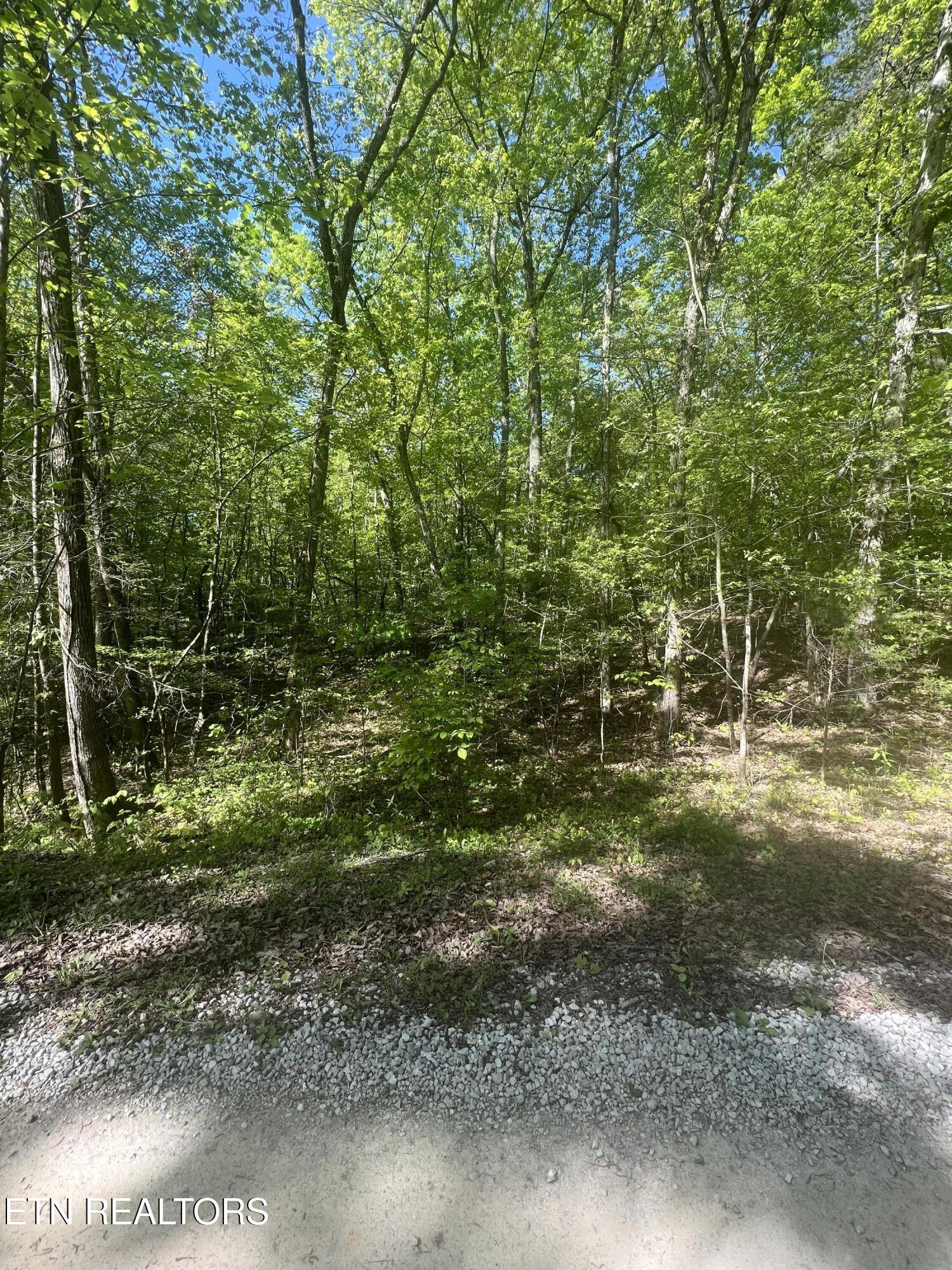 0 Lake Overlook Drive Spring City TN 37381