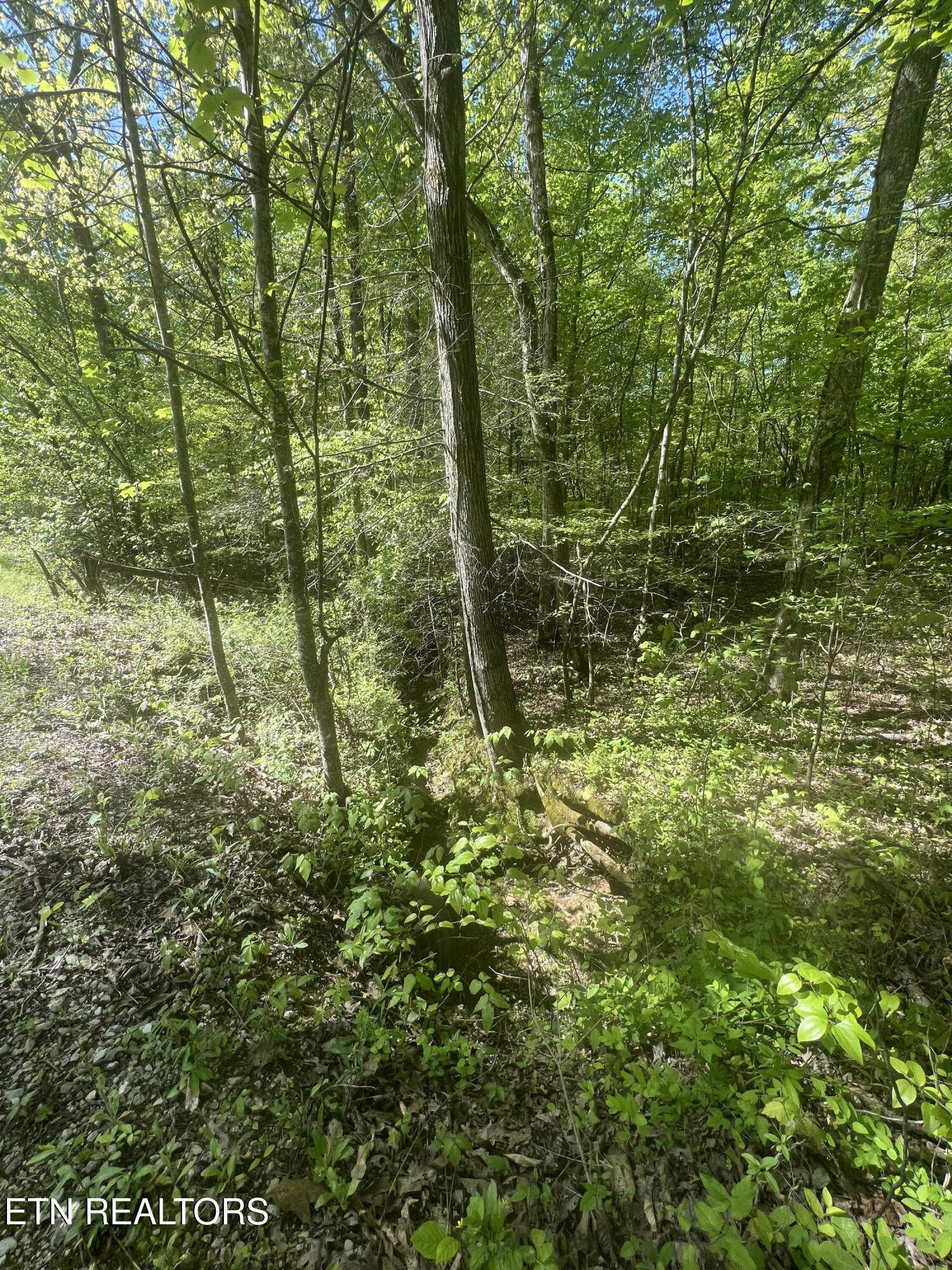 0 Lake Overlook Drive Spring City TN 37381