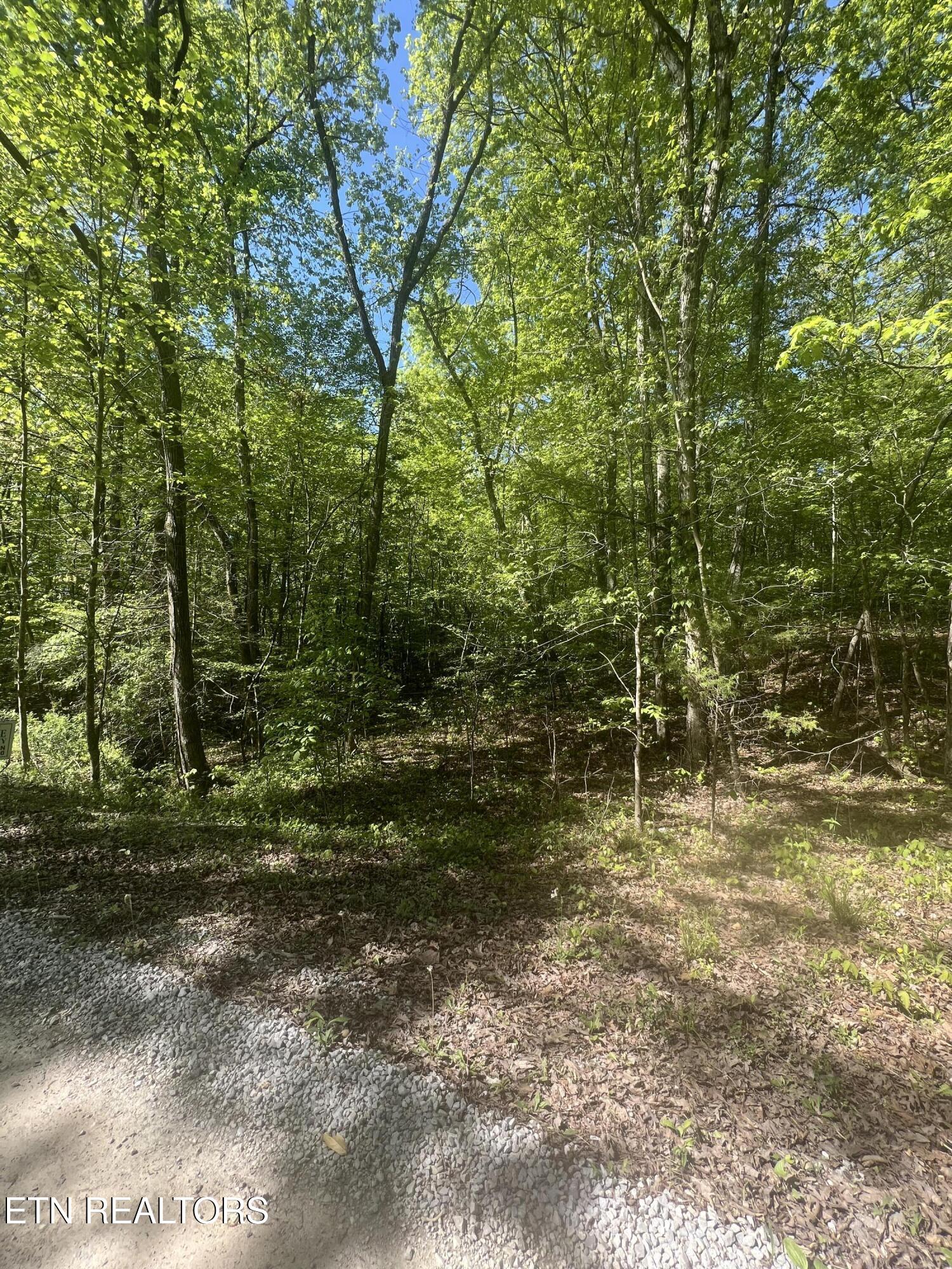 0 Lake Overlook Drive Spring City TN 37381