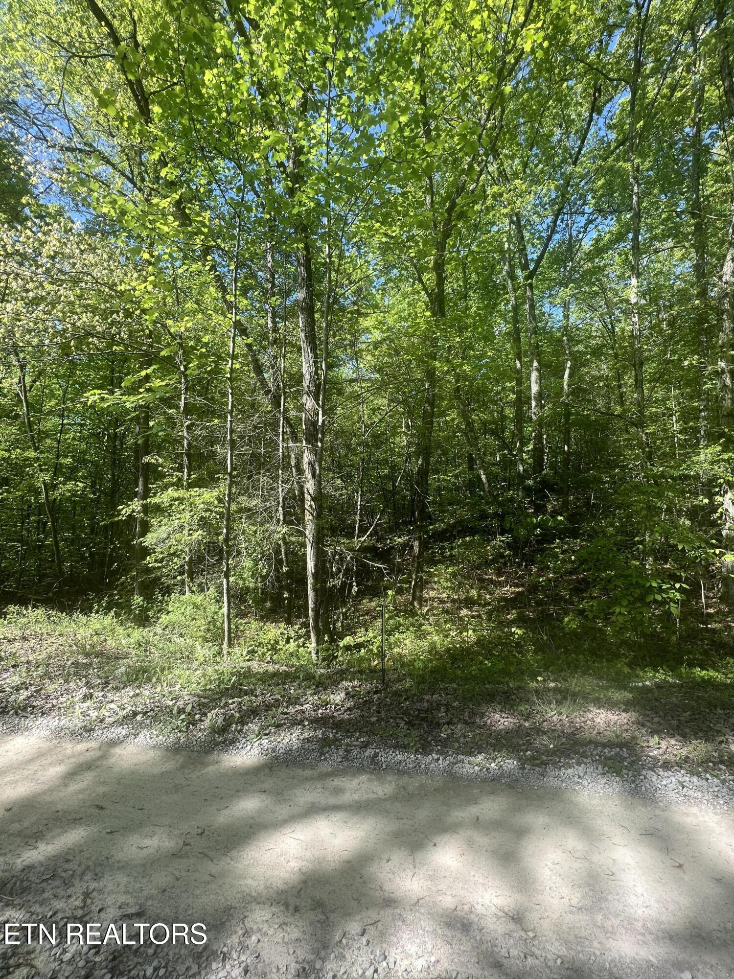 0 Lake Overlook Drive Spring City TN 37381
