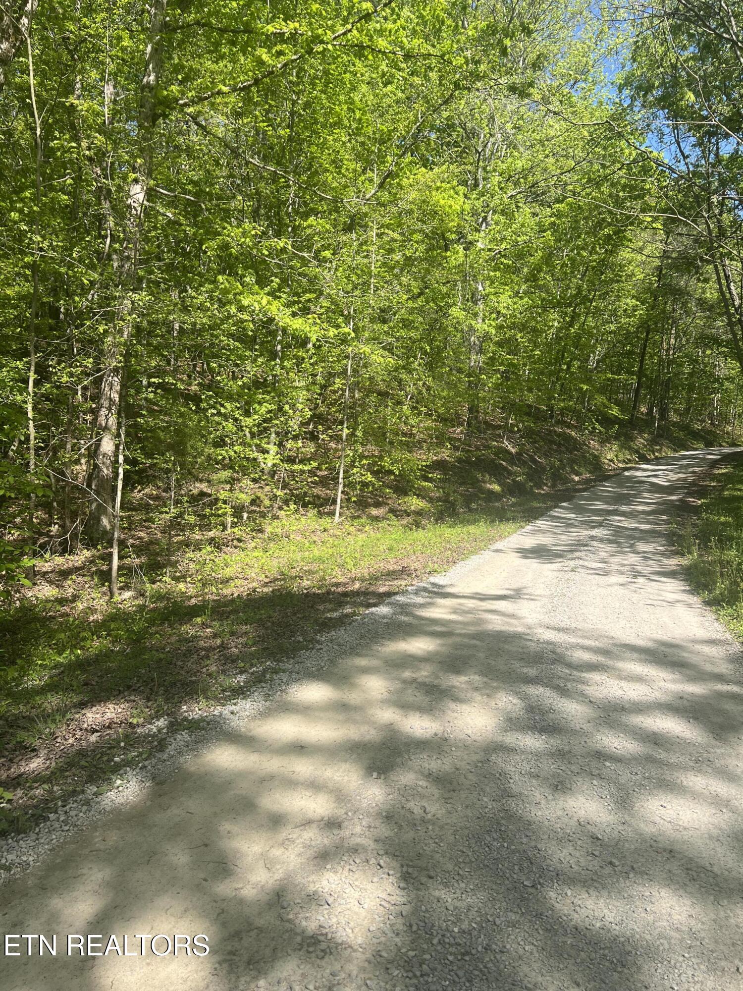 0 Lake Overlook Drive Spring City TN 37381