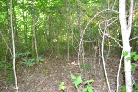 5ac Dynamite Lane Livingston TN 38570