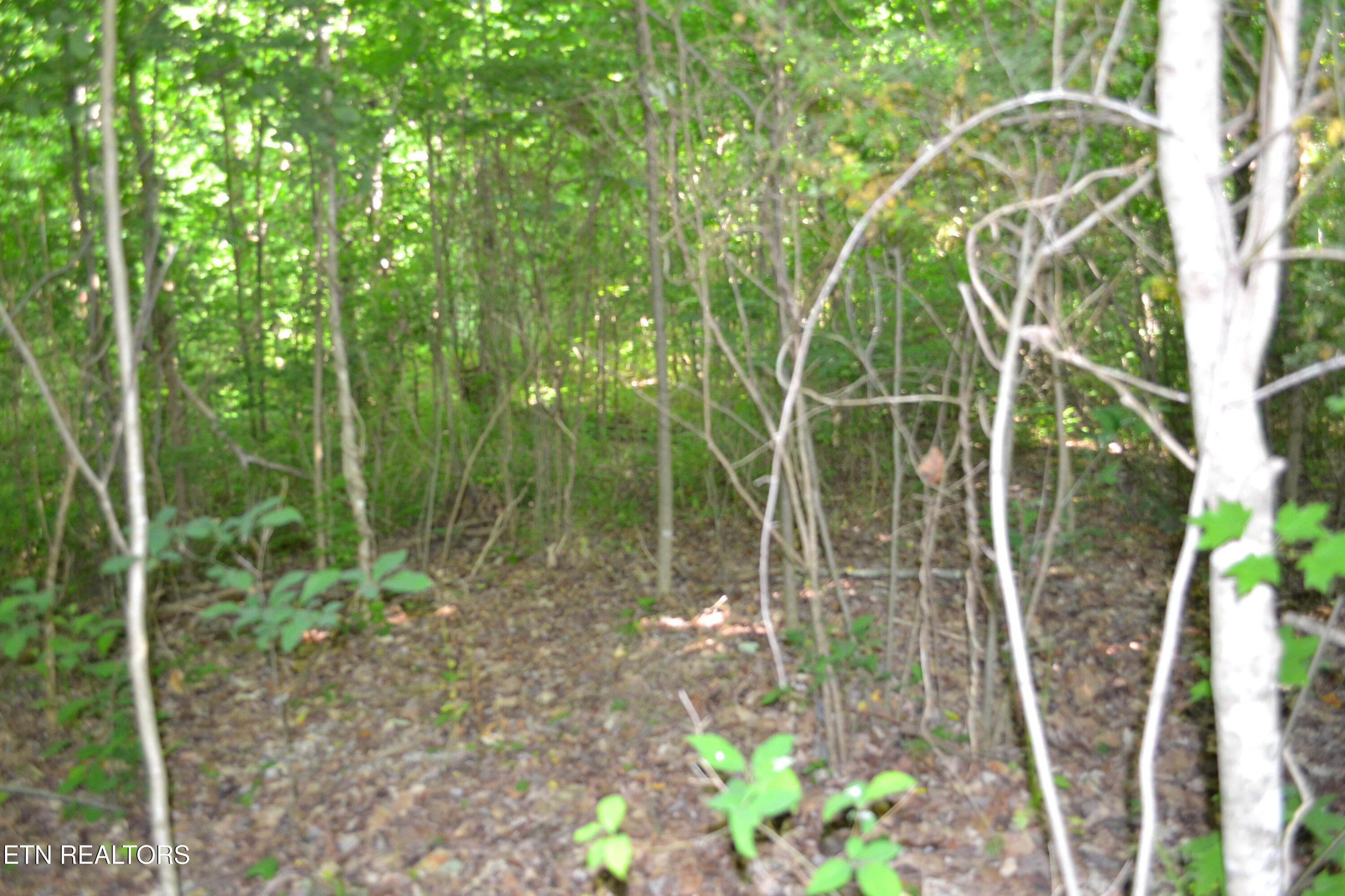 5AC Dynamite Lane Livingston TN 38570
