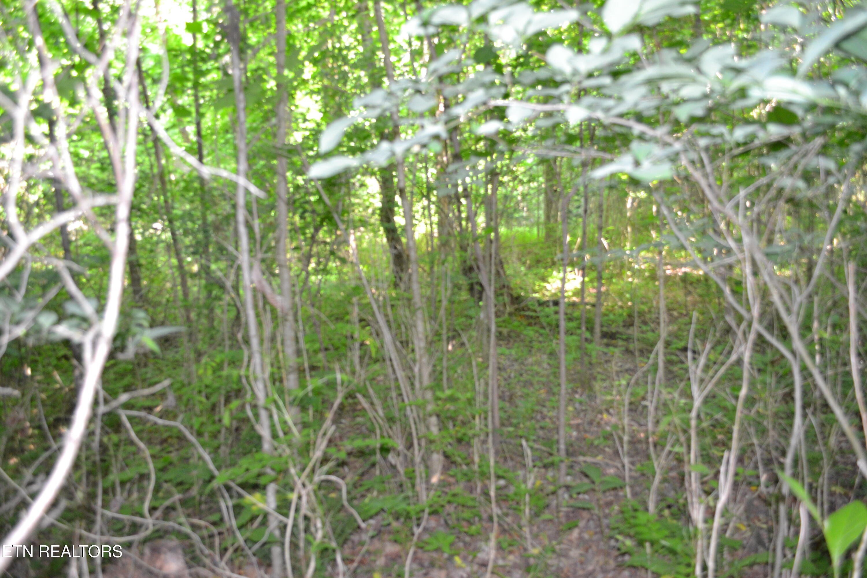 5AC Dynamite Lane Livingston TN 38570