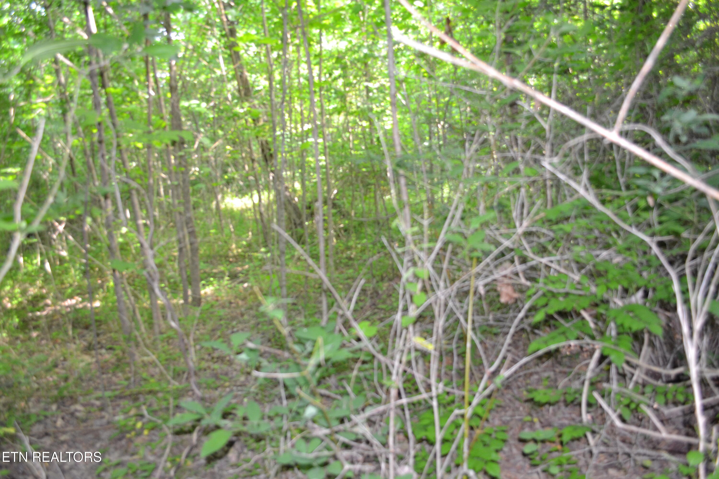 5AC Dynamite Lane Livingston TN 38570
